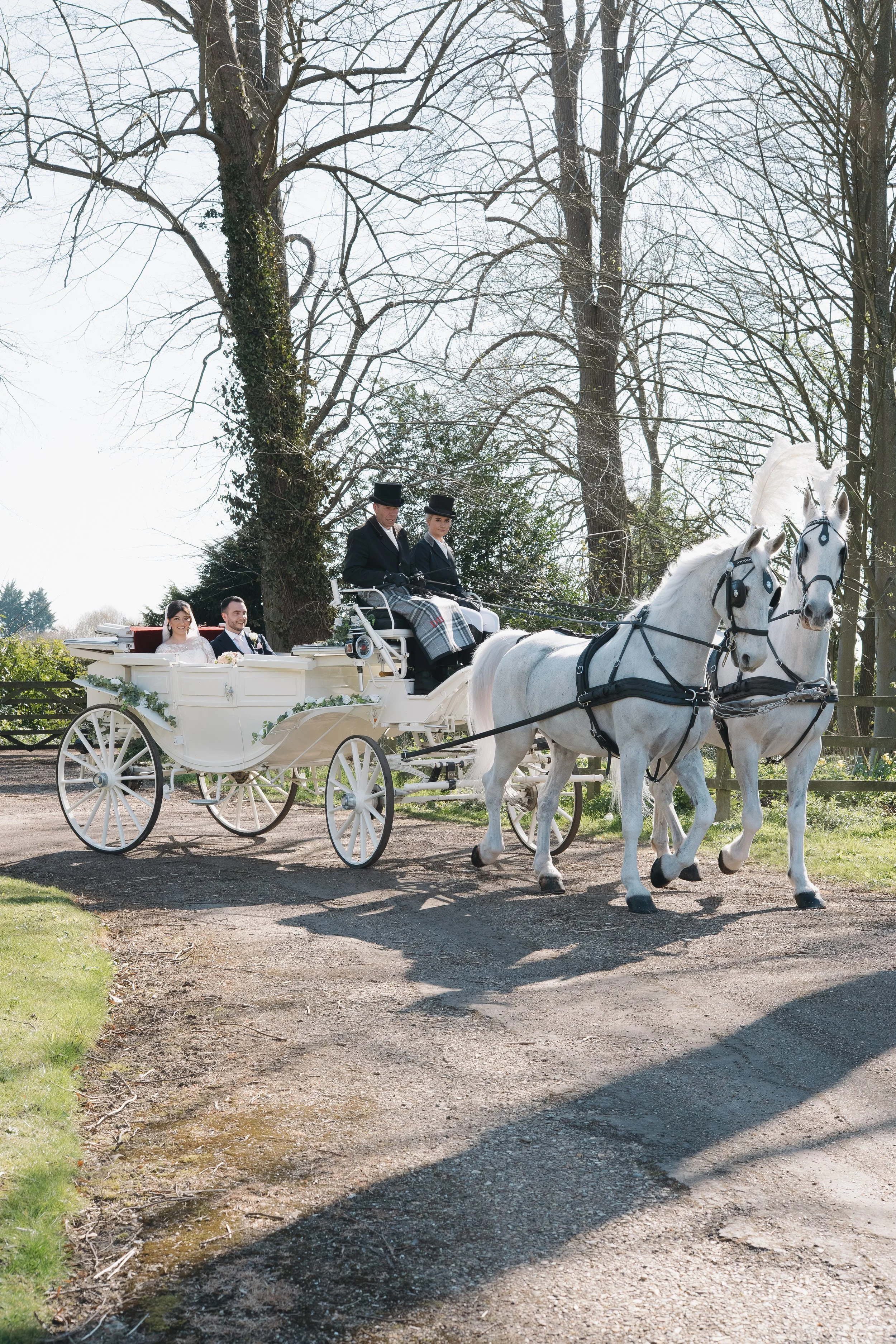 Au and Mo Web-30.jpg