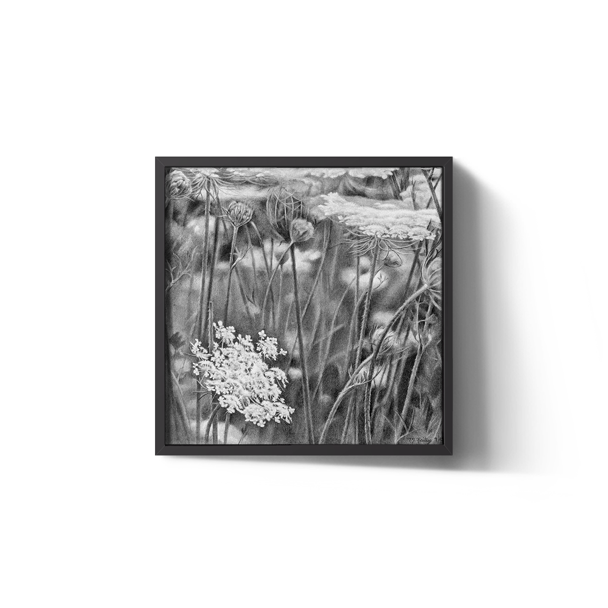 Queen Anne's Lace I