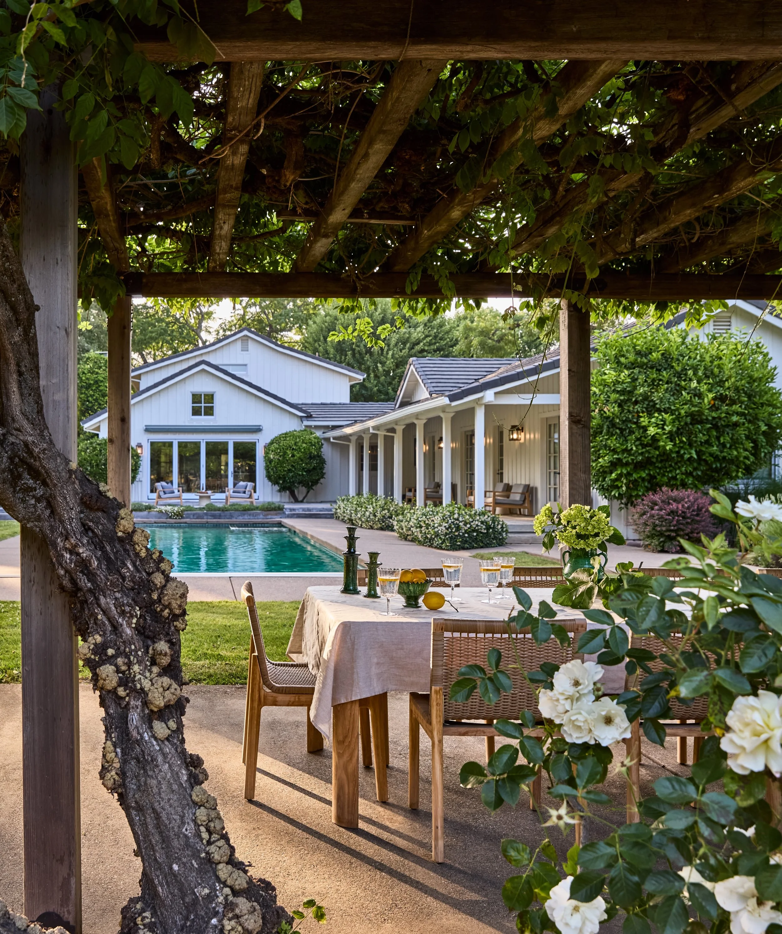 This large Meyer Lemon tree off to the right on this photo was the inspiration for the bunk room at our Dry Creek Retreat. 

The was the happiest, most fruitful lemon tree I&rsquo;ve ever encountered. Every time I would go to the site I&rsquo;d come 