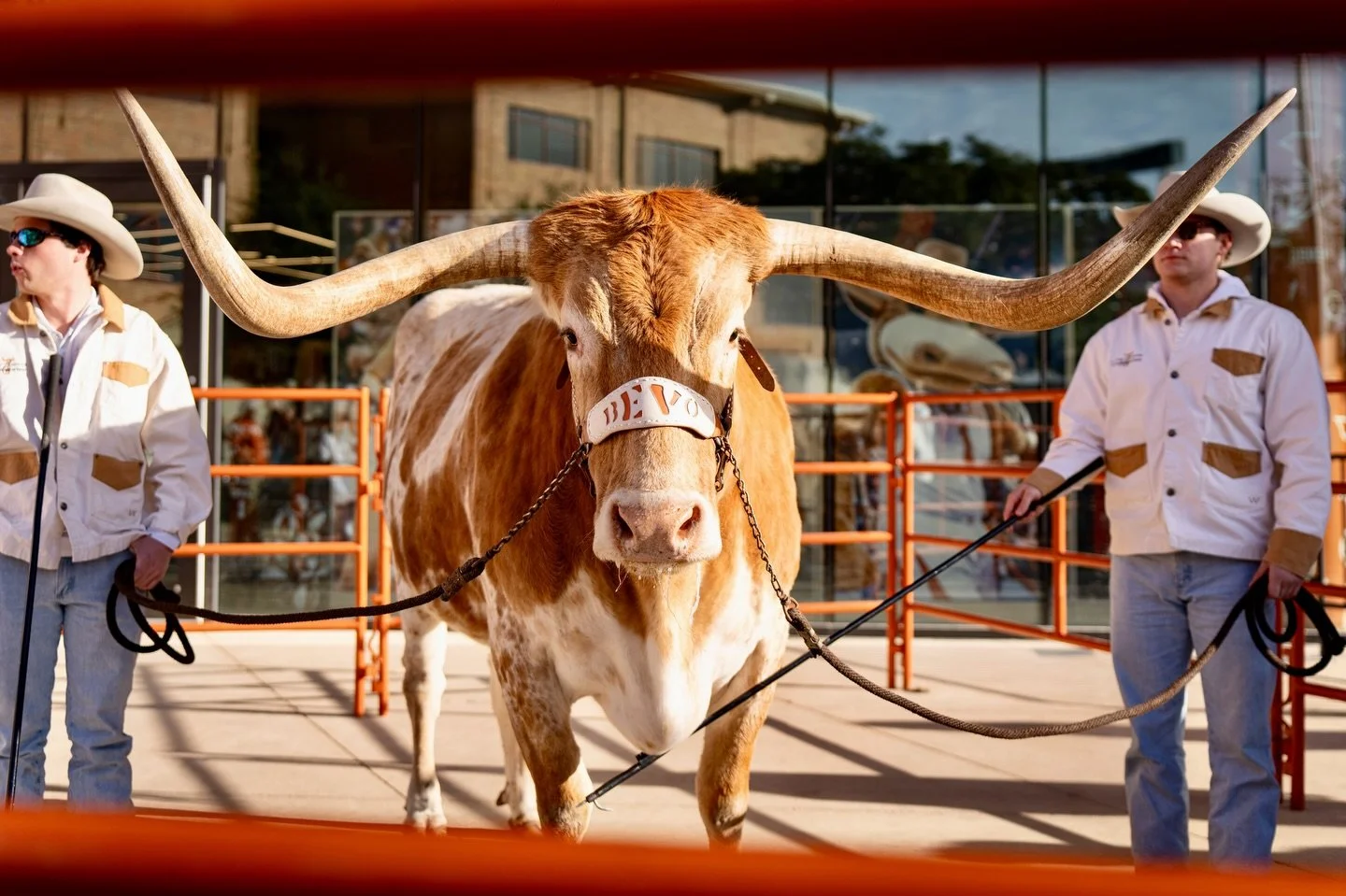 Everyone&rsquo;s best friend 🫶🏼