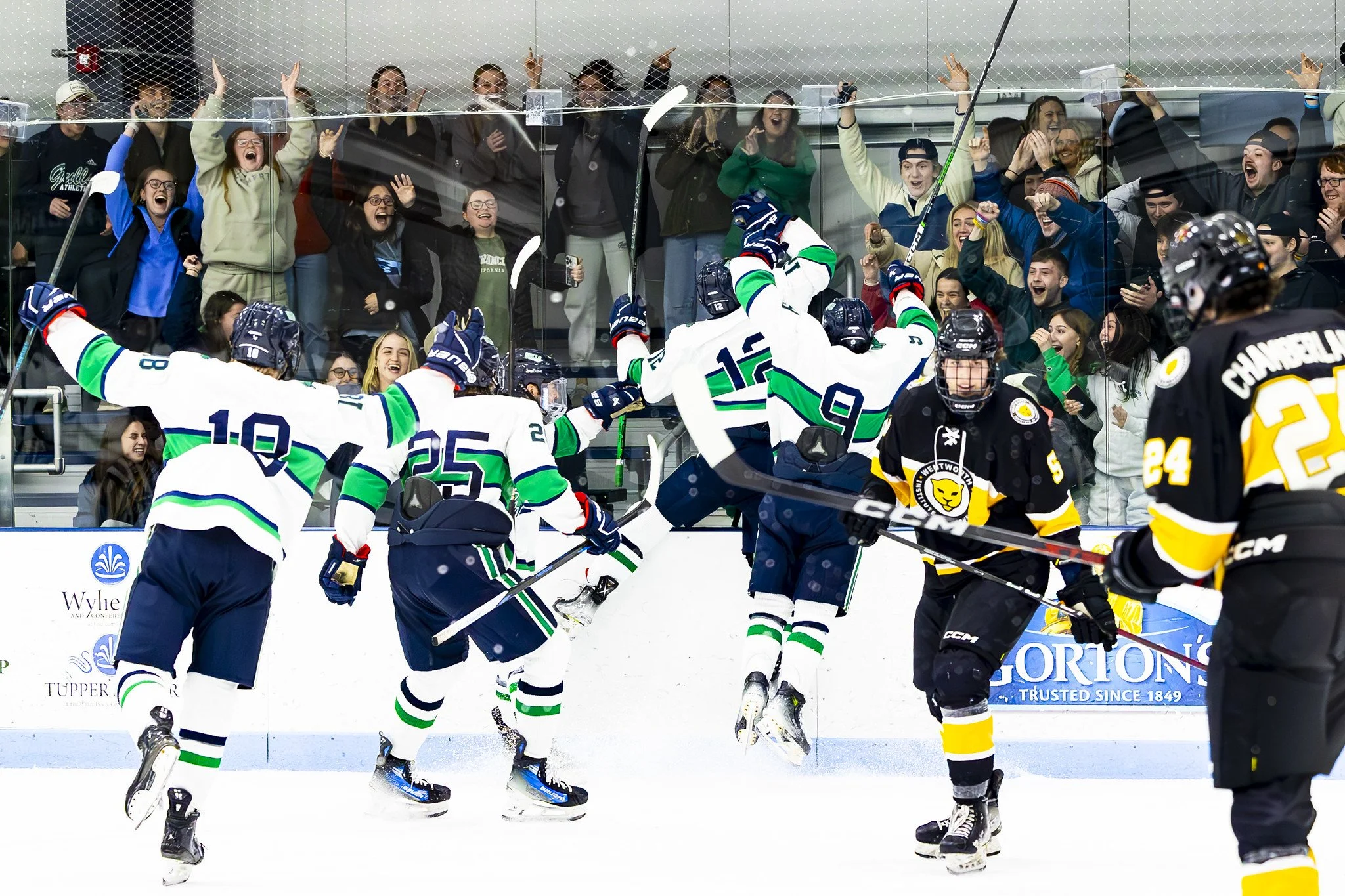 Hockey players celebrating a goal on the ice rink with fans cheering behind the glass