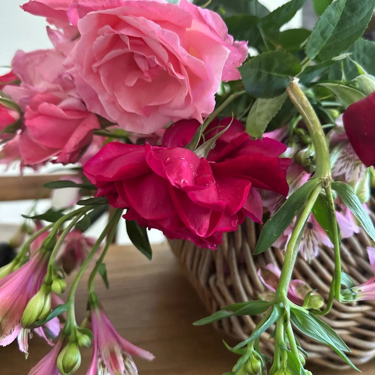 As the calendar fills and the pace lifts, I&rsquo;m reminding myself to stop and take in the little details at @willowlodgewarkworth. There&rsquo;s so much beauty when we slow down long enough to see it.

1. Stop &amp; smell the roses 🌹
2. Delicious