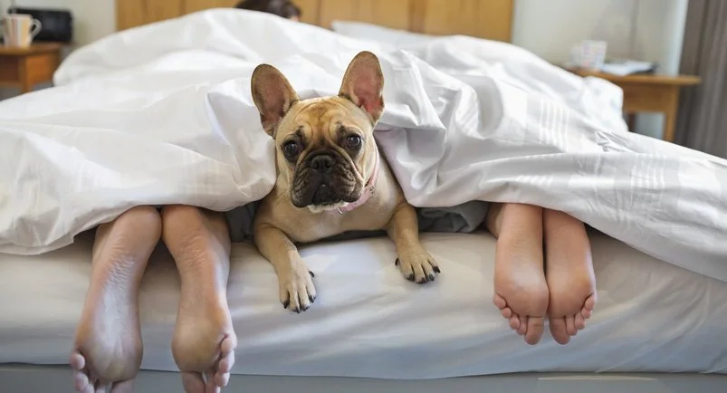 What Healthy Couples Do Differently (That Most People Miss)