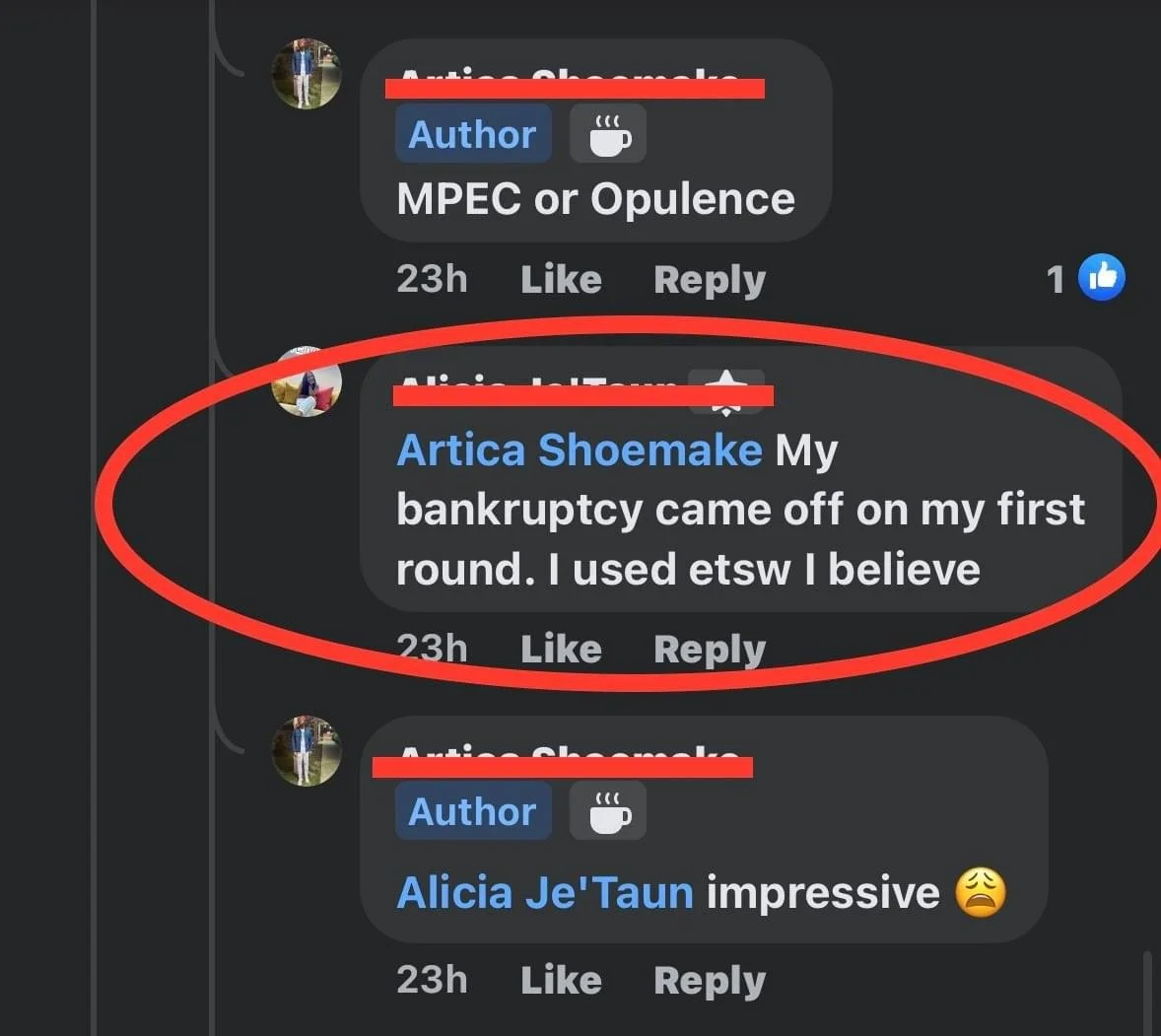 Screenshot of a Facebook comment thread with user Artica Shoemake stating her first round of bankruptcy, followed by another user commenting 'impressive' with a sad emoji.
