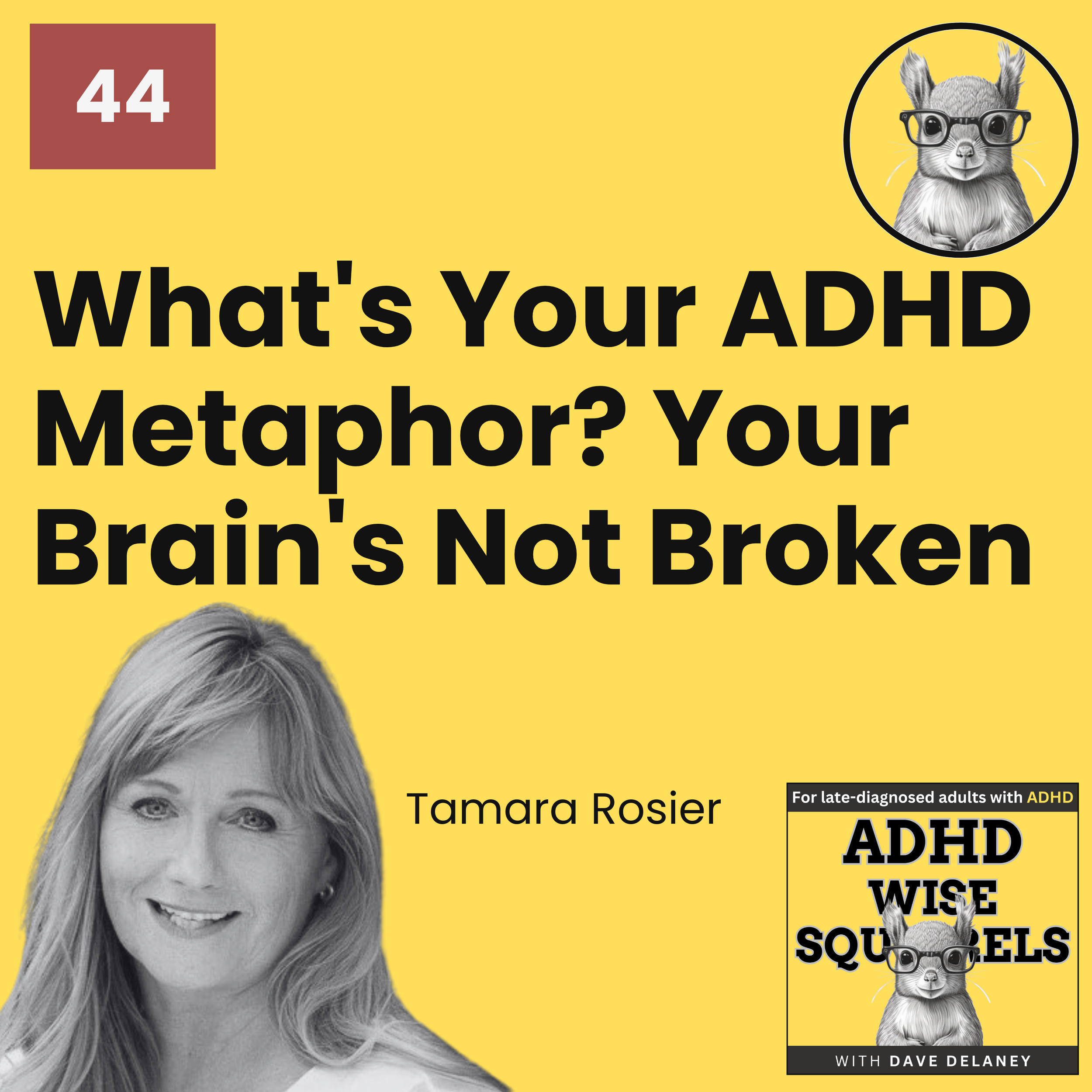 PODCAST. What's Your ADHD Metaphor? Your Brain's Not Broken with Dr. Tamara Rosier.