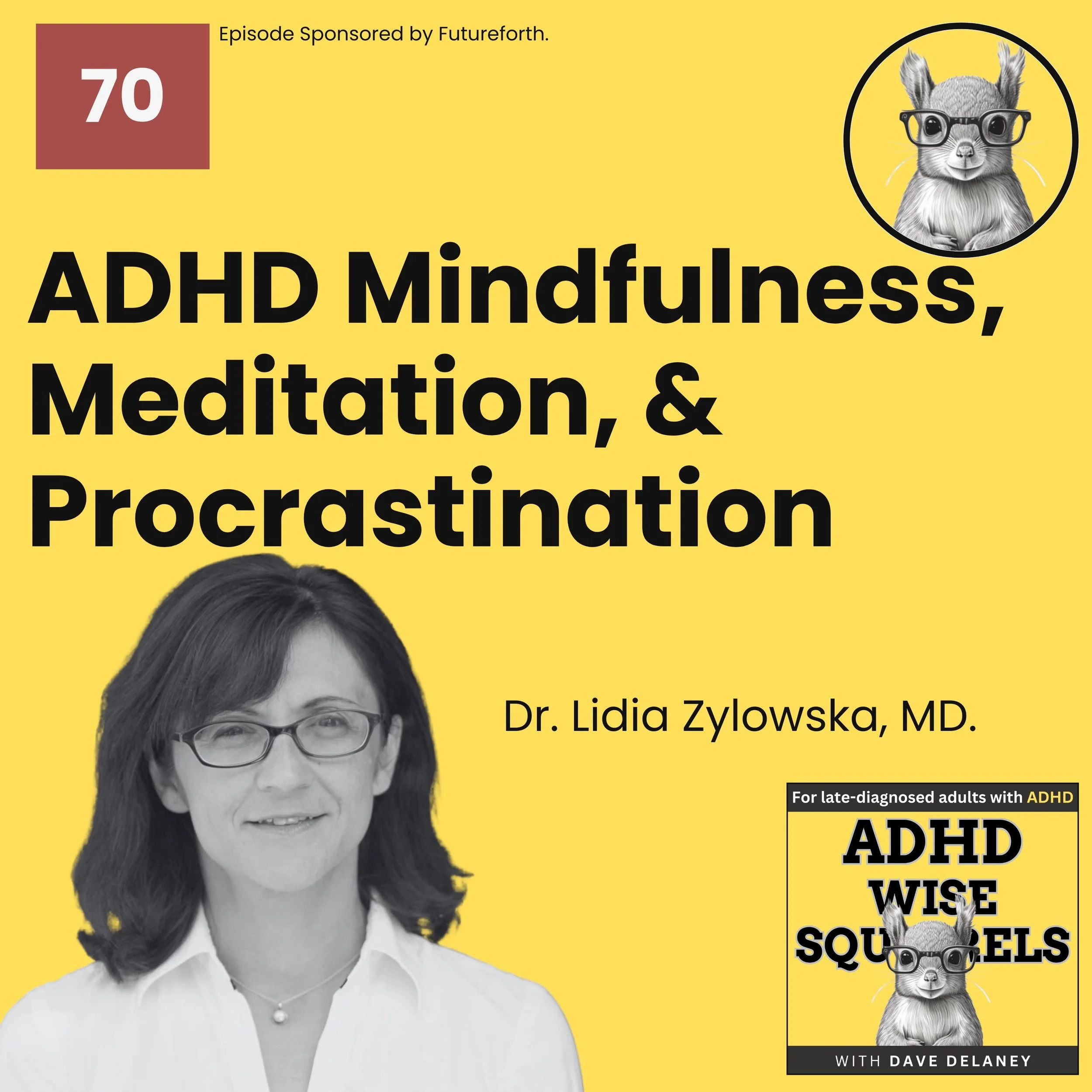 PODCAST. Mindfulness, Meditation, and Procrastination with Dr. Lidia Zylowska, MD. (Replay)