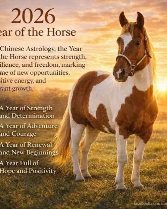 May Your 2026 be filled with Adventures, Growth and Courage