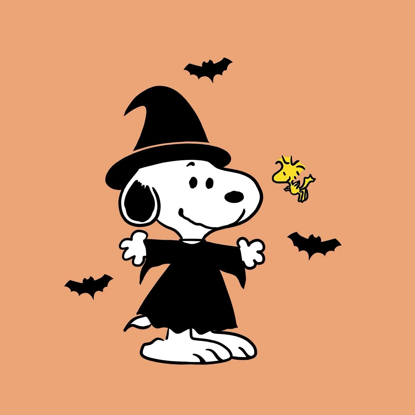 🦴🐾🐥🦇

#tellasringsandthings #trnt #shopsmall #smallbusiness #snoopy
