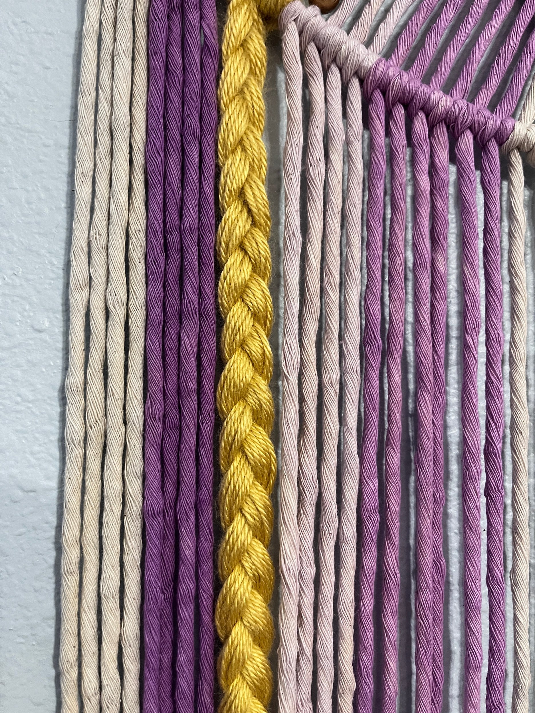 Disney Princess Rapunzel Macrame hoop wall hanging