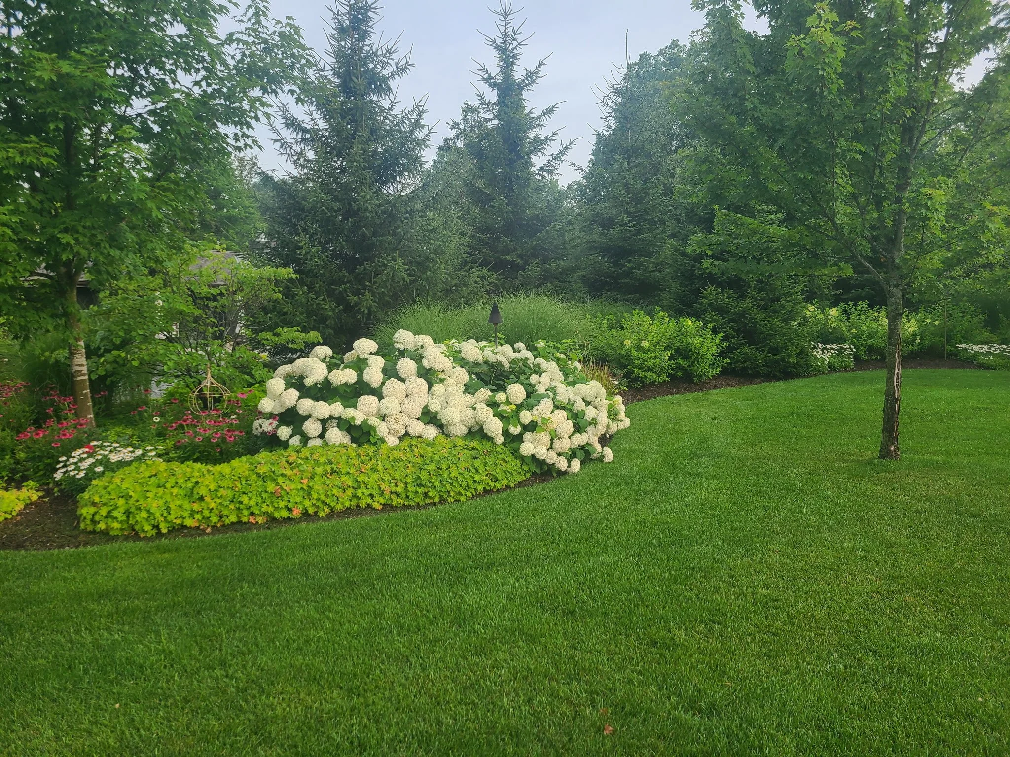 Lush green lawn, trees, and flowering plants in a garden scene.