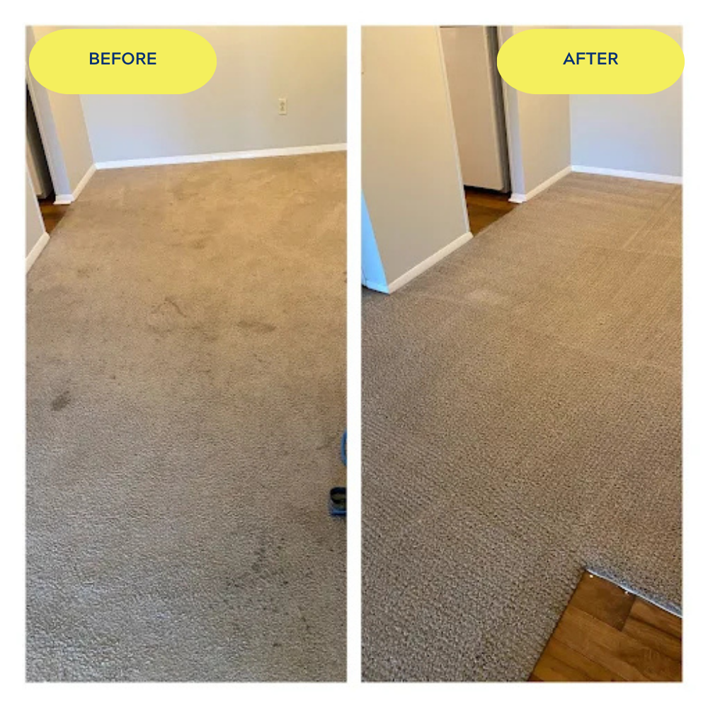 before and after carpet cleaning