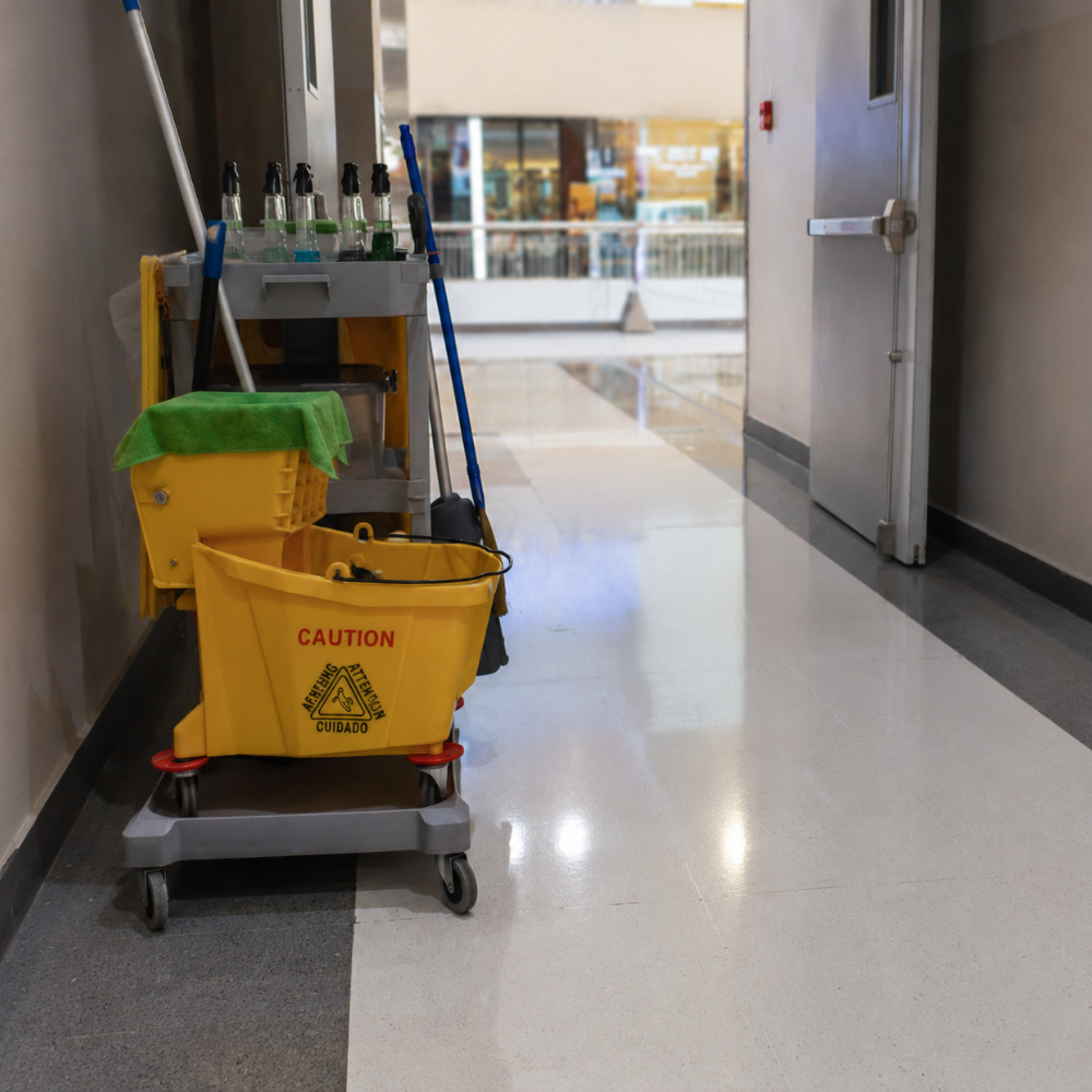Cleaning cart with cleaning supplies and a mop in a hallway, near an open door.