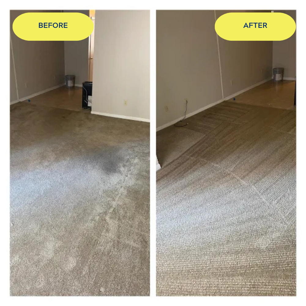 before and after carpet cleaning