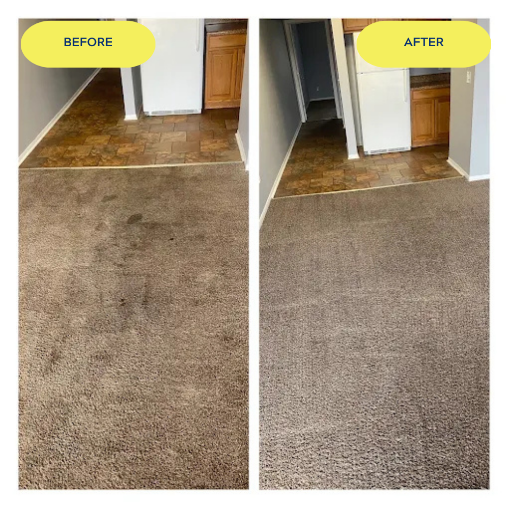  before and after carpet cleaning