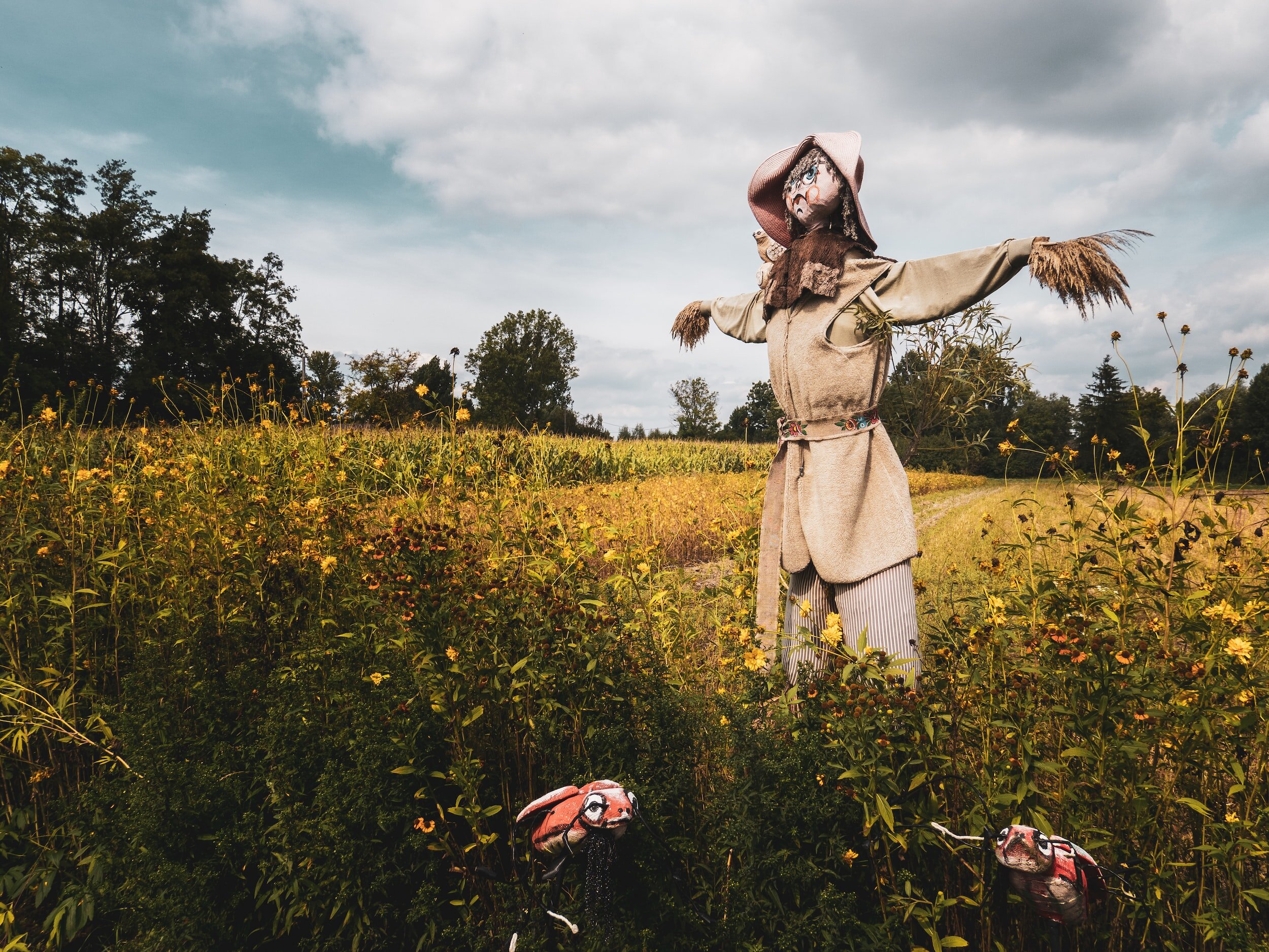 Scarecrow Project