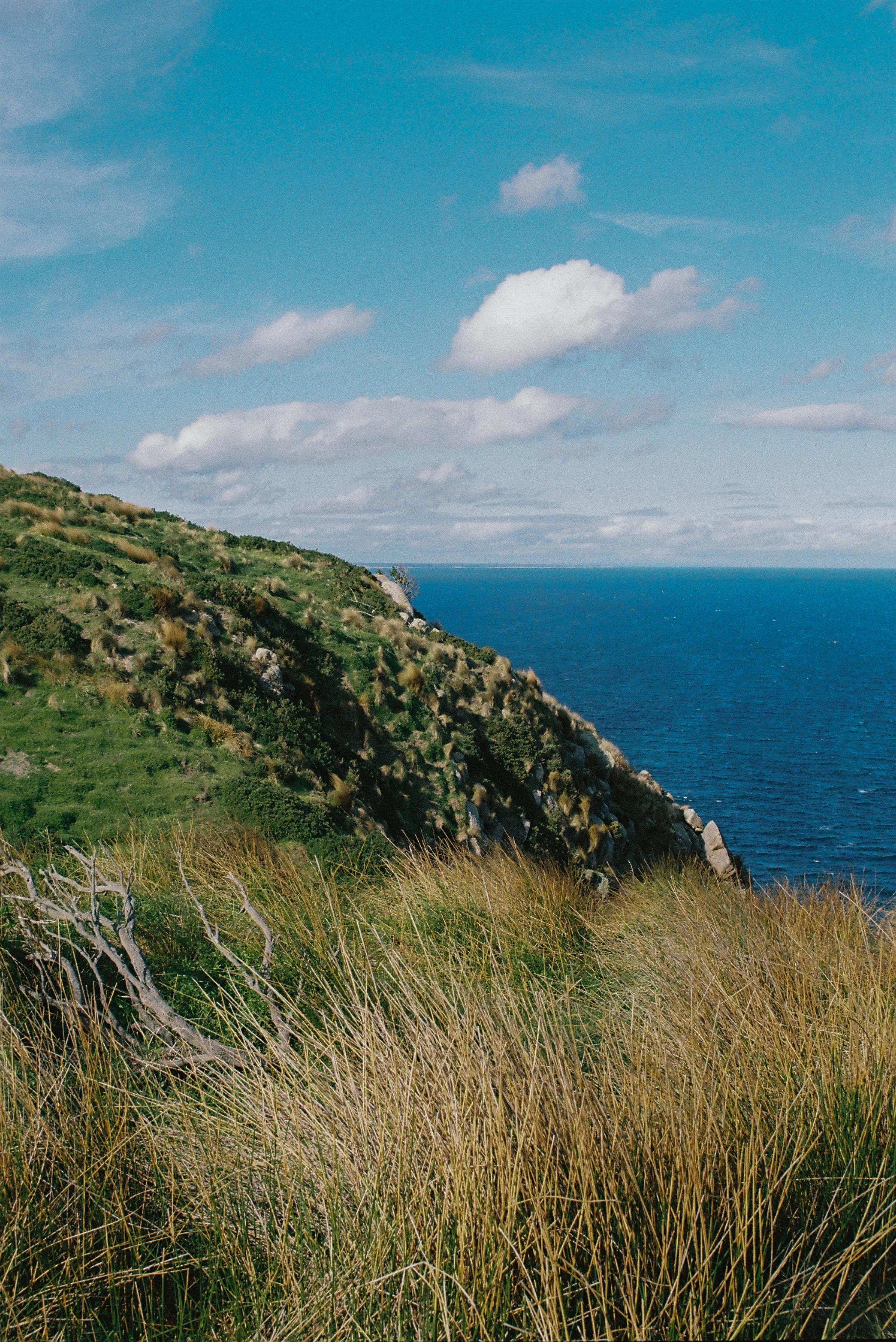 c0h1788-r1-07-7a.jpg