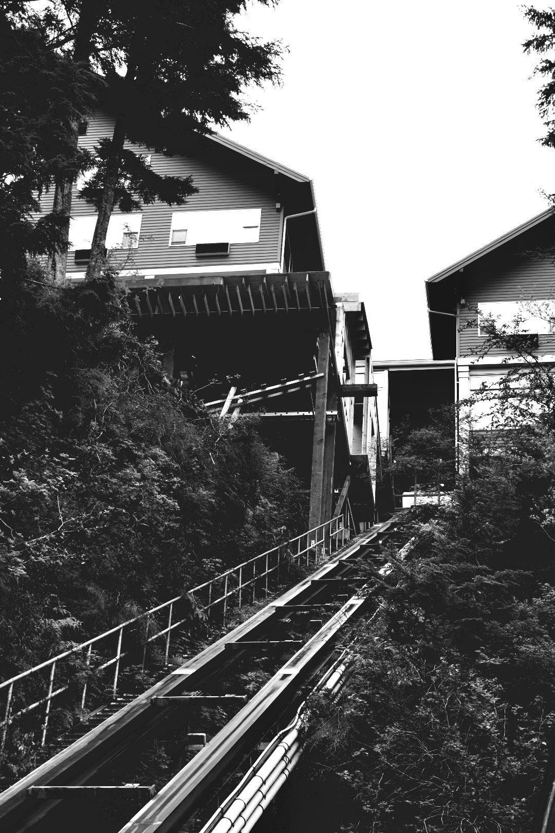 ACS_0037.jpg