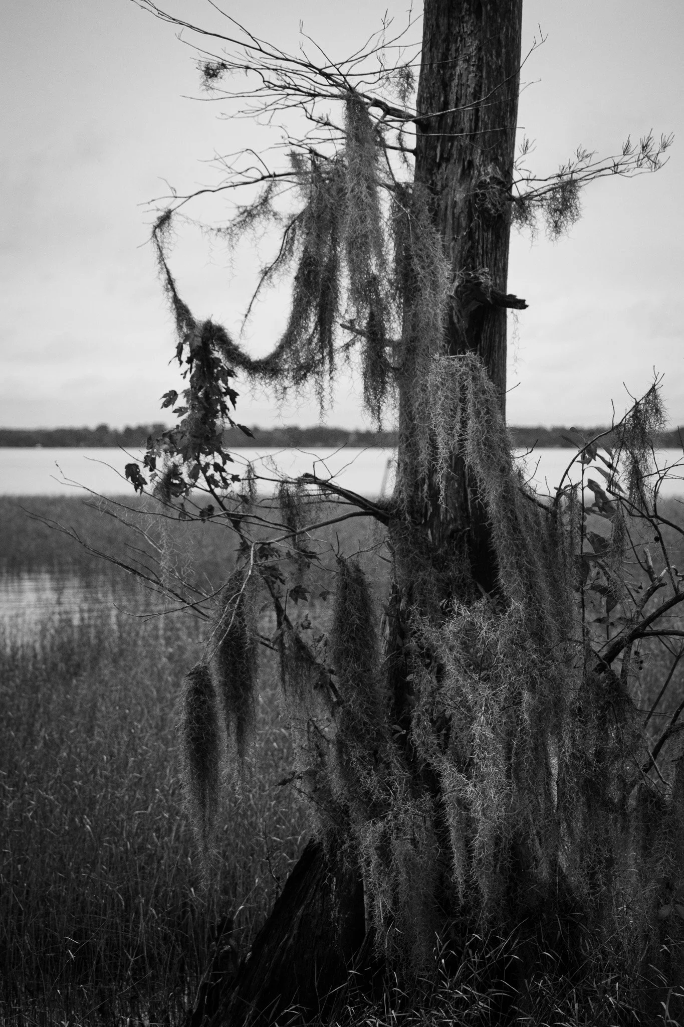SLR_6958.jpg