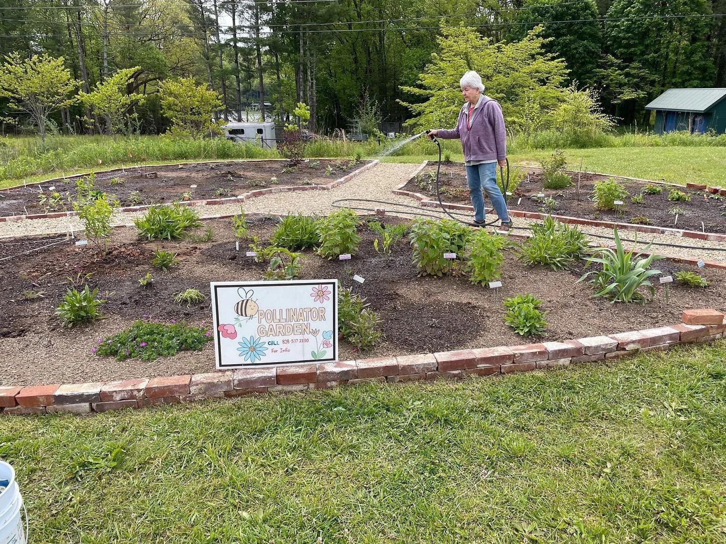 The pollinator garden is coming together really nicely! Thank you to all our amazing volunteers, without you none of this would be possible! 🐝 🦋 🌸