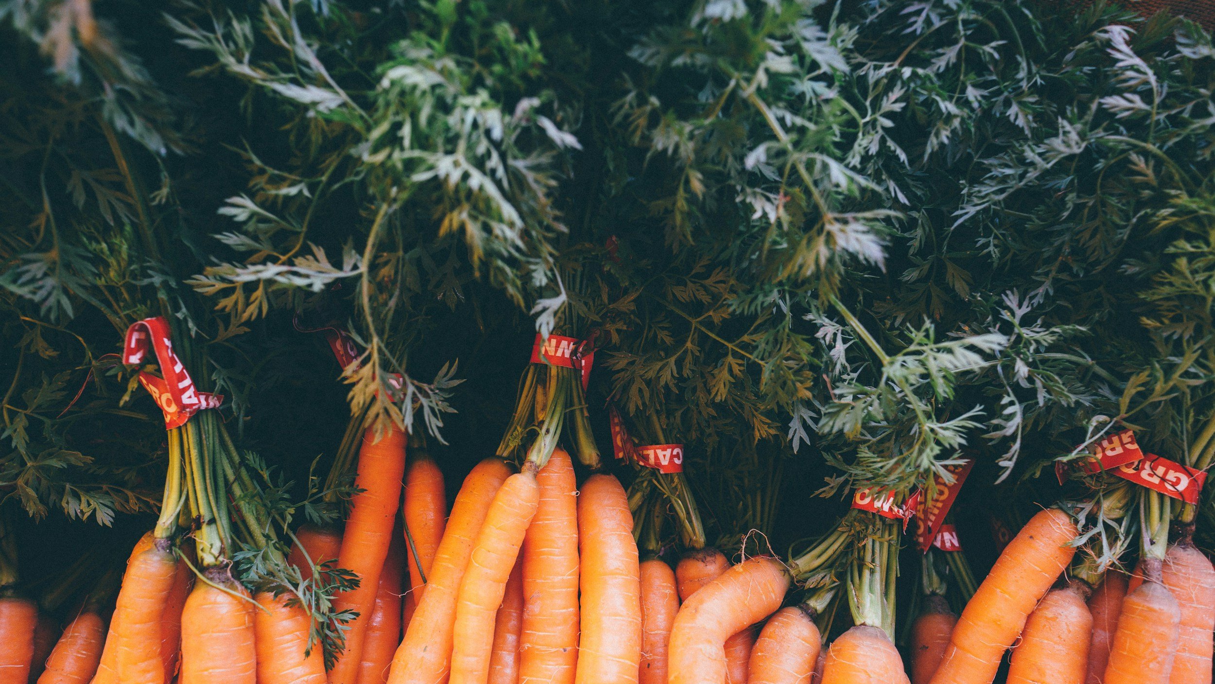 Getting Saucy with Carrot Tops