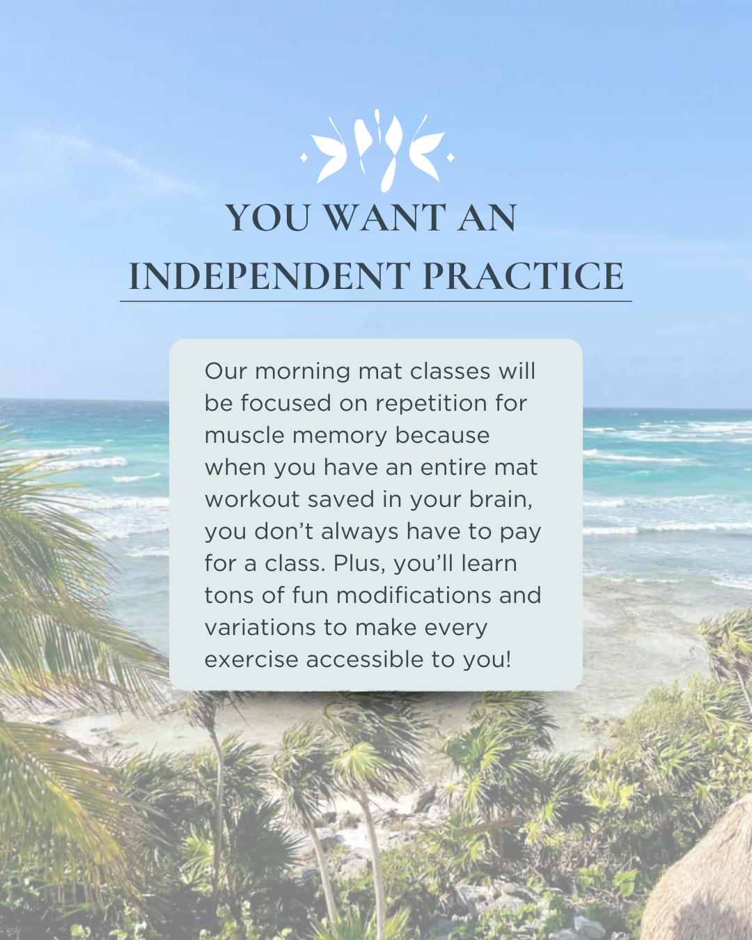 A tropical beach on a sunny day with breeze blowing.