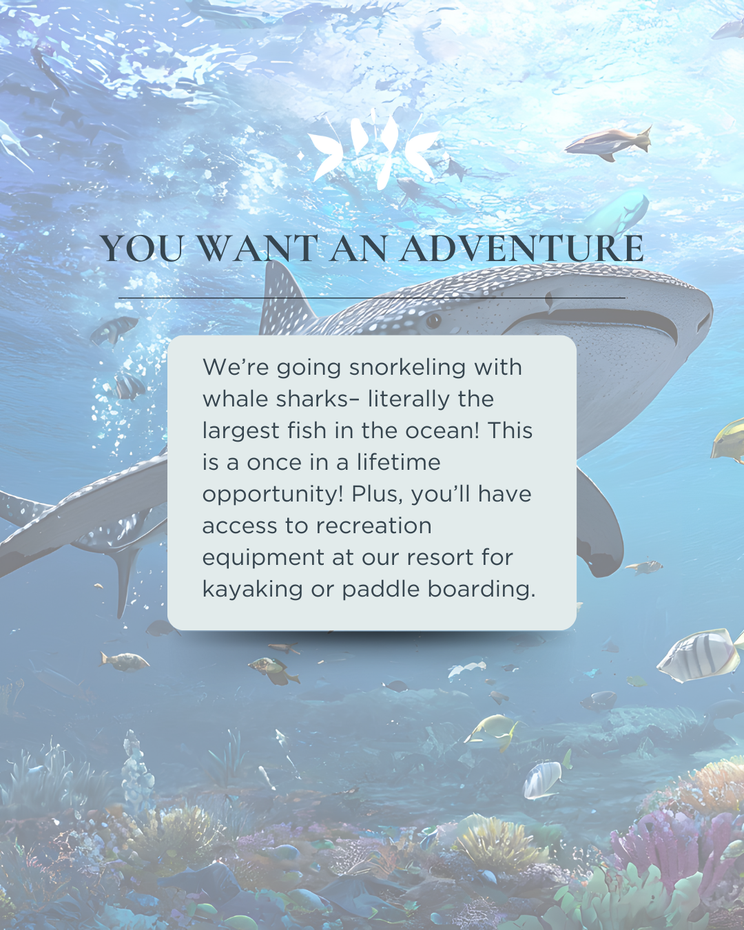 Whale sharks swimming in crystal clear water.