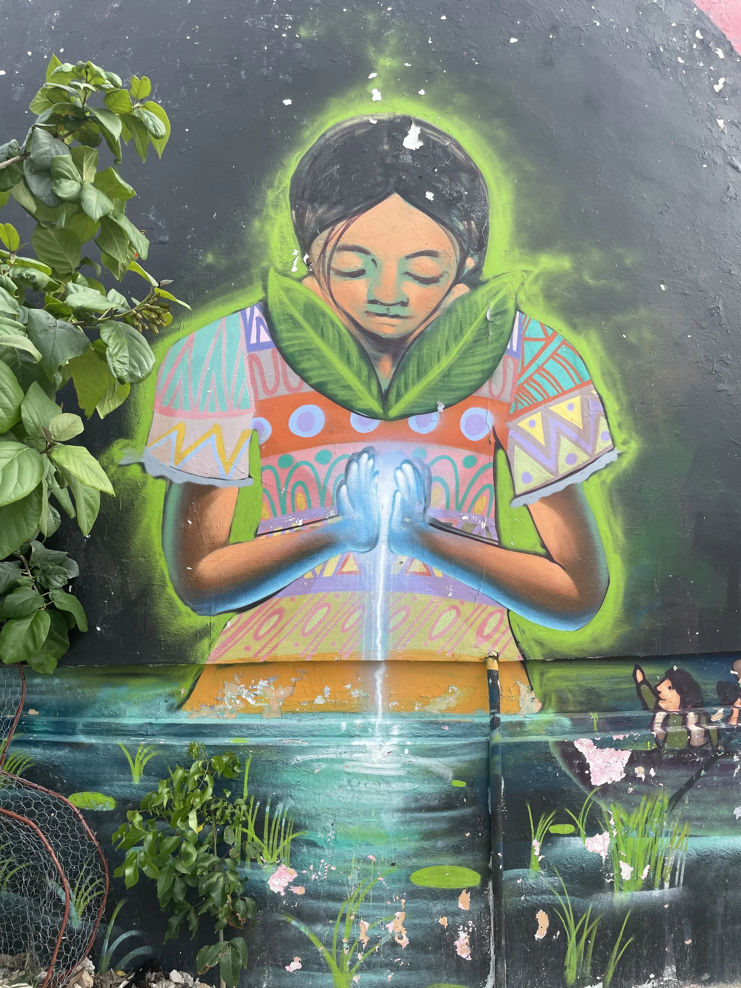 Isla Holbox Wall Mural