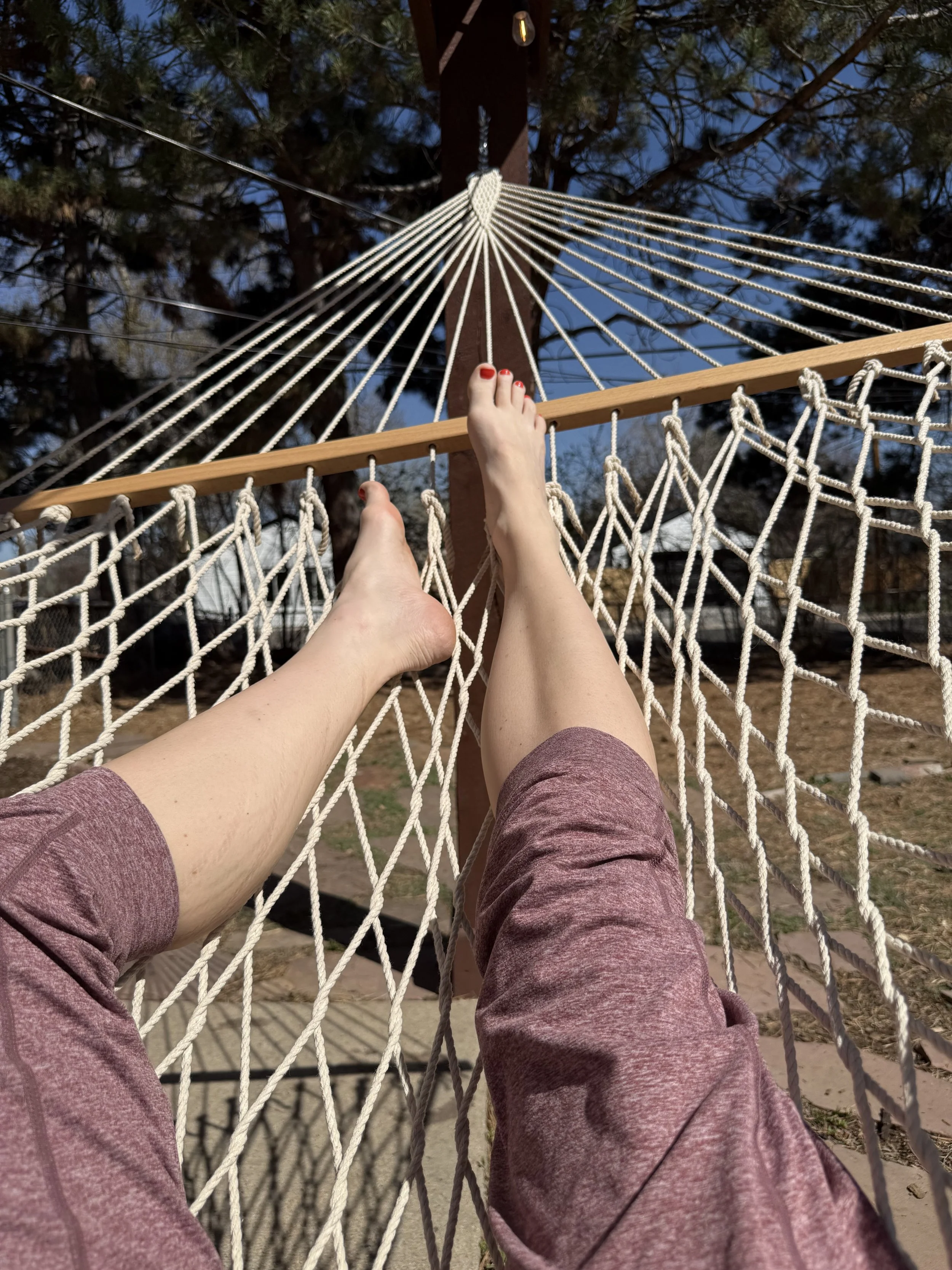 Lounging in the sunshine in my backyard hammock