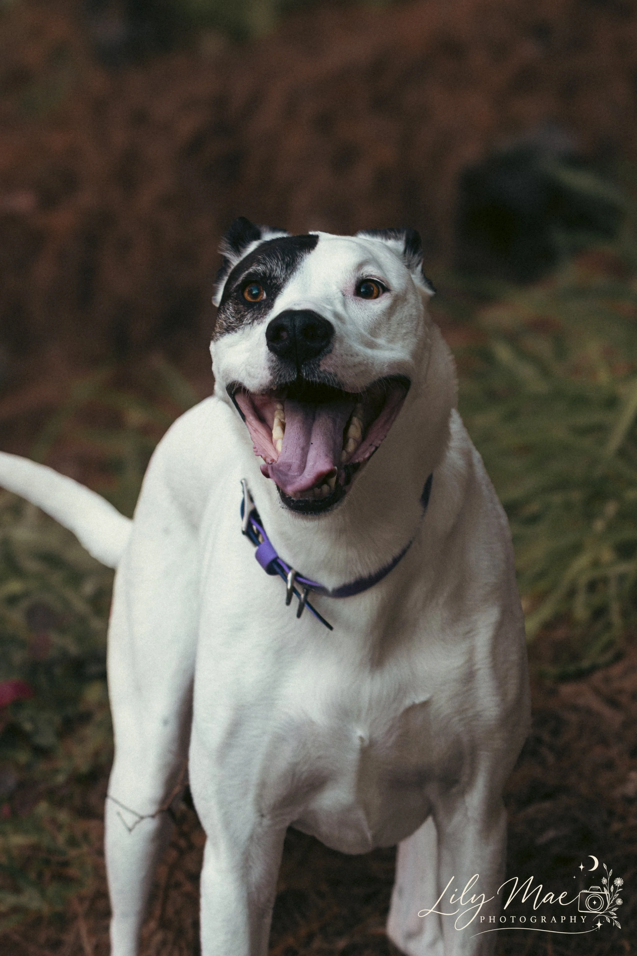 Floss-5.jpg