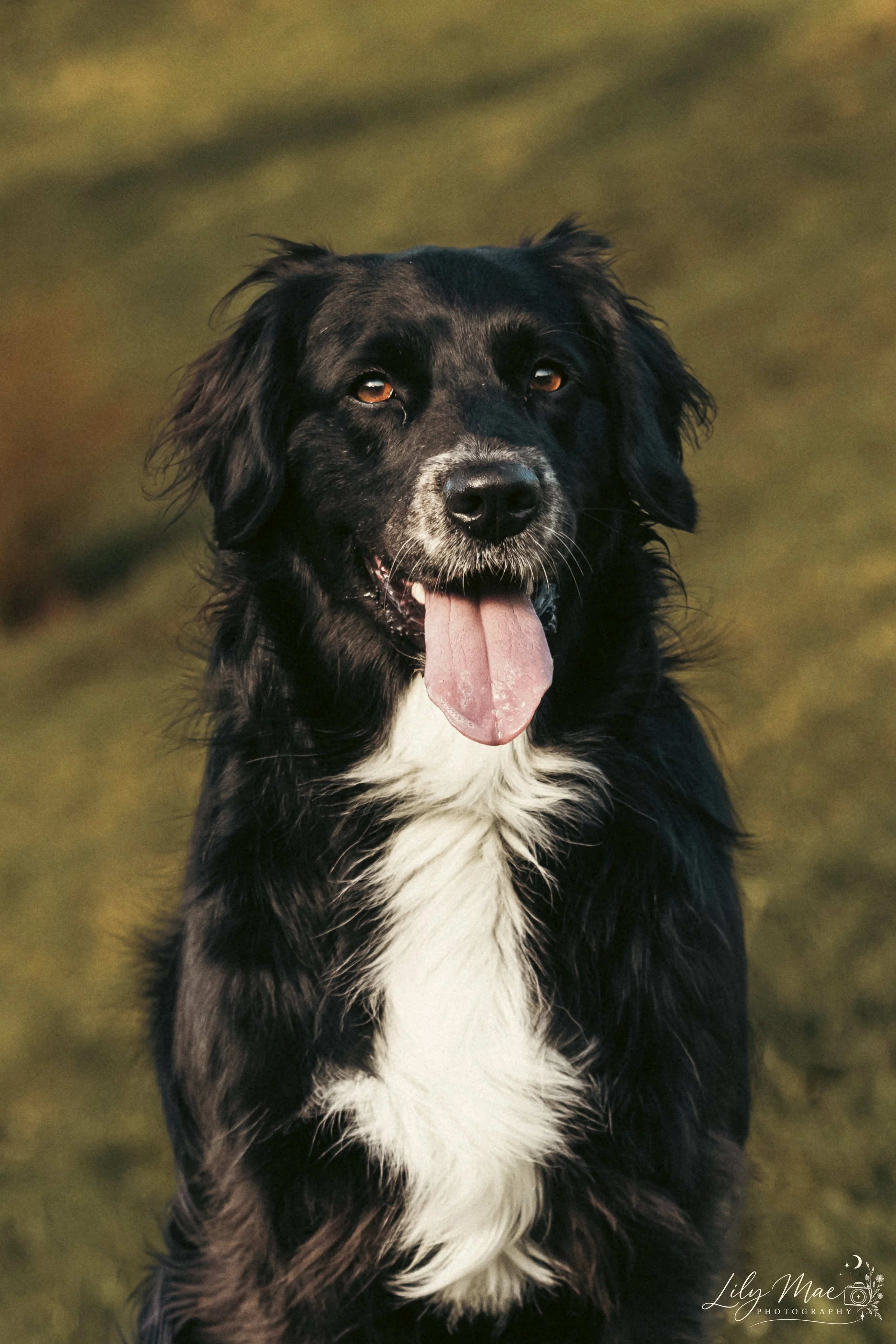 Vader-12.jpg