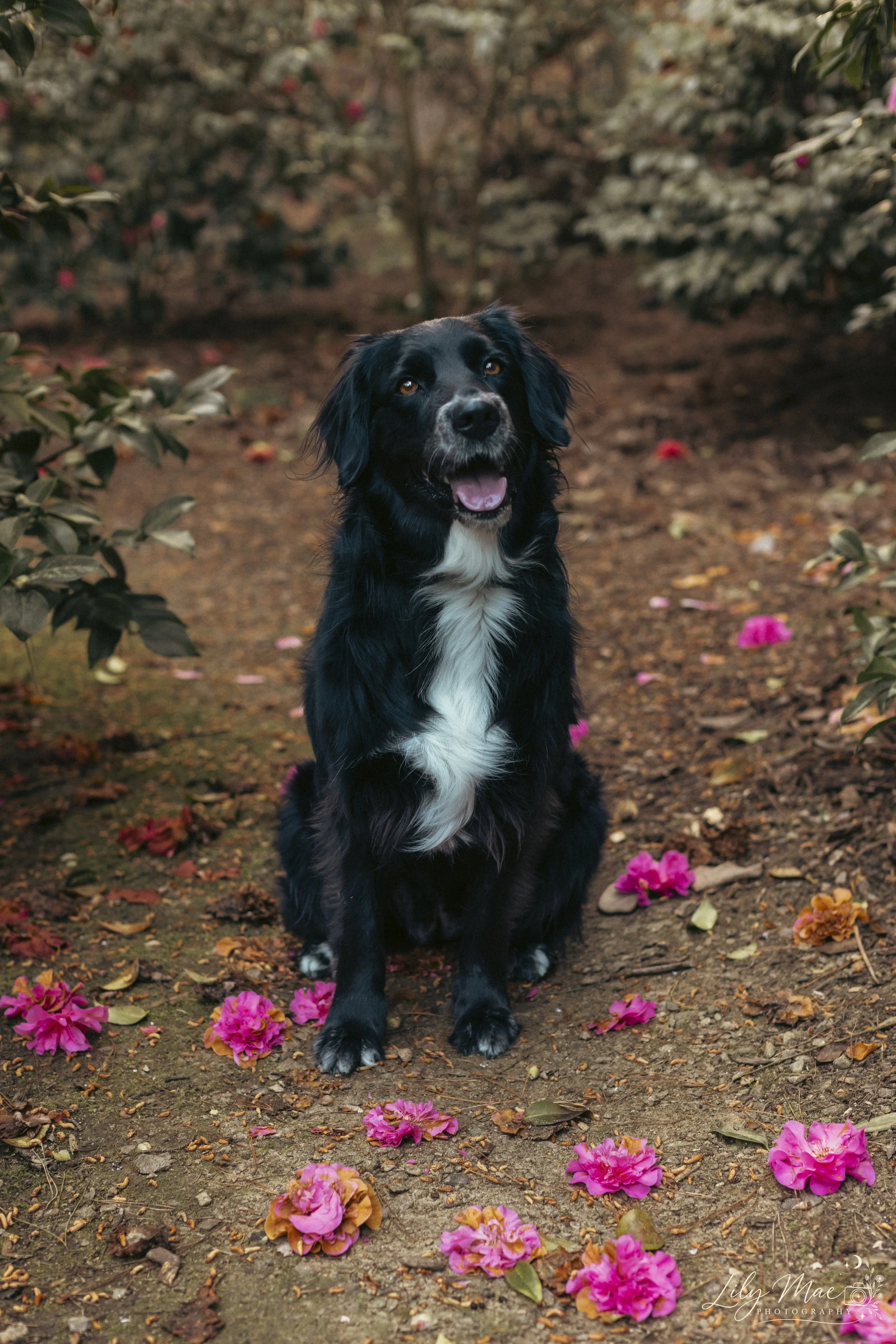 Vader-1.jpg