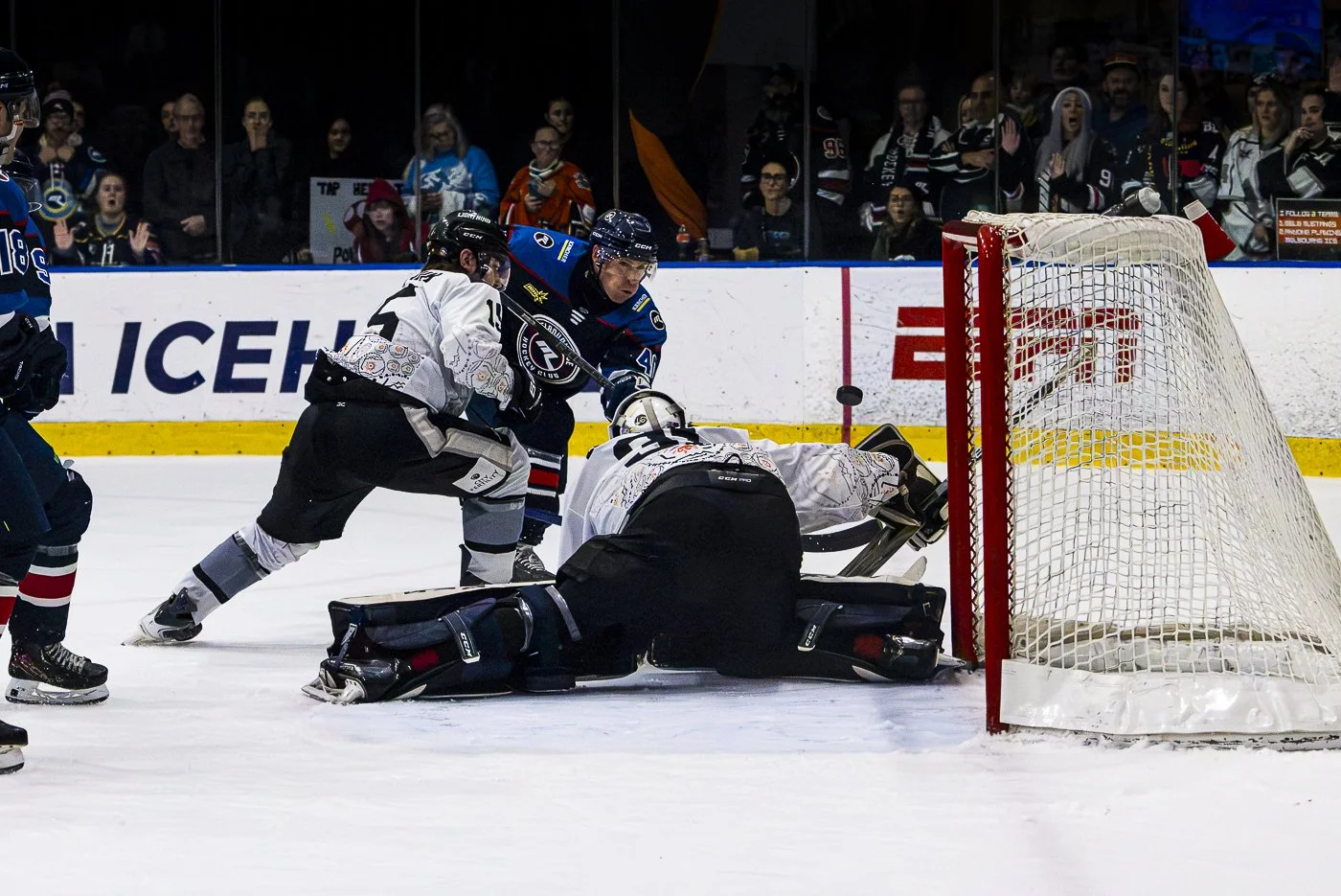 MelbIce_v_Bris-52.jpg