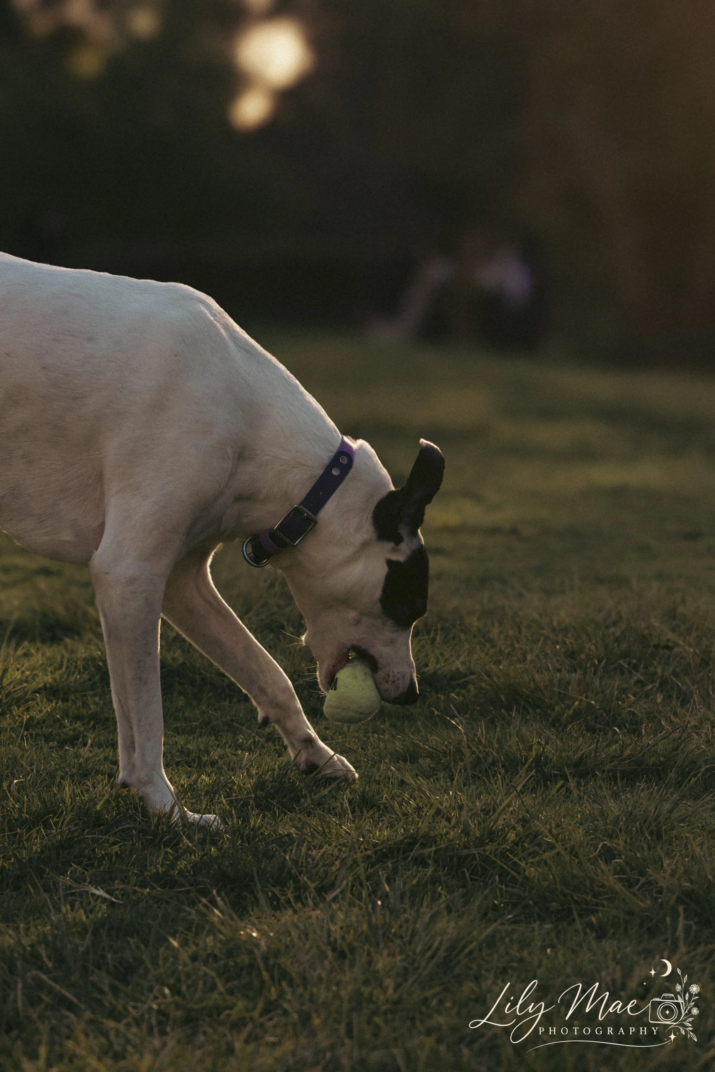 Floss-28.jpg