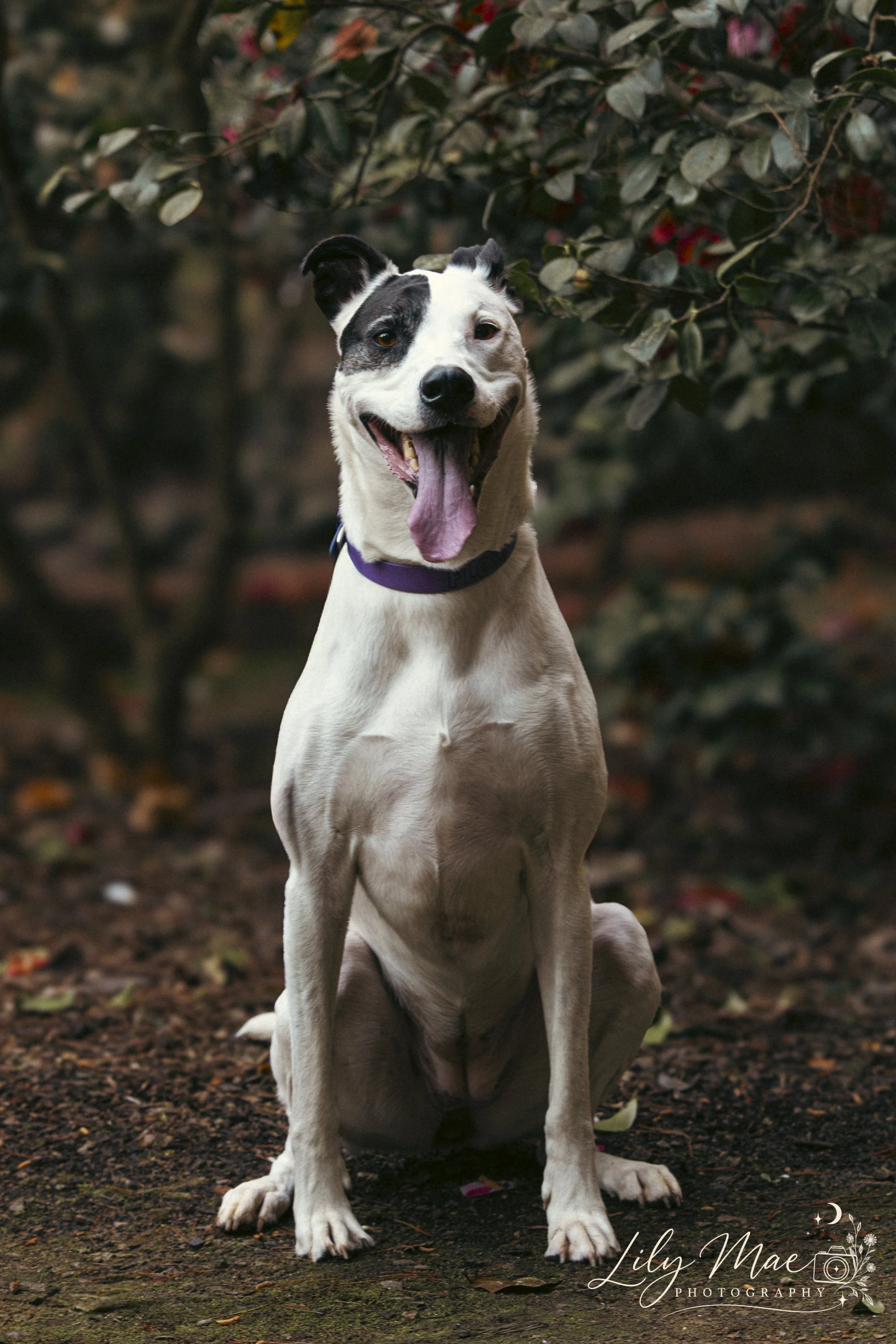 Floss-1.jpg