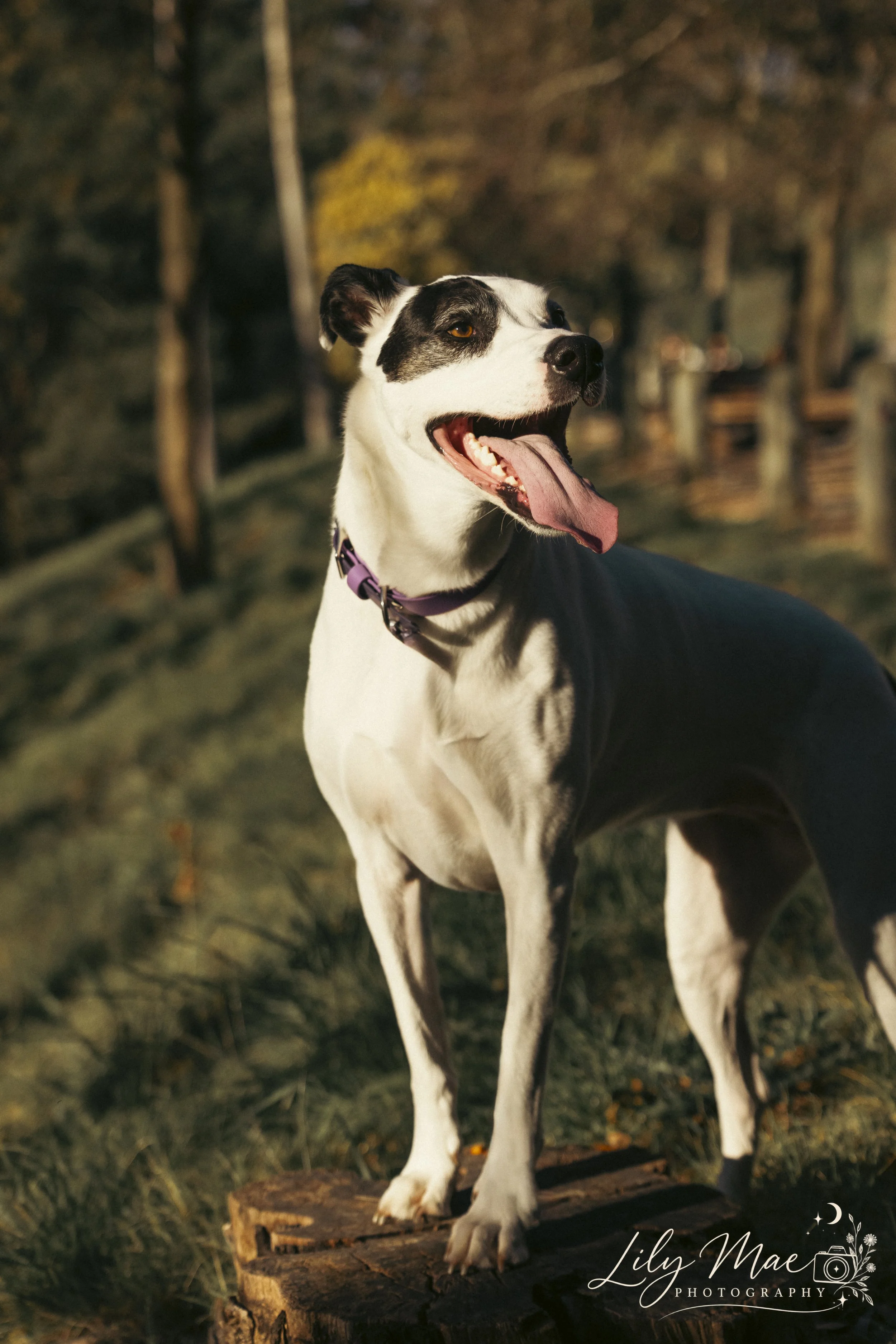 Floss-14.jpg