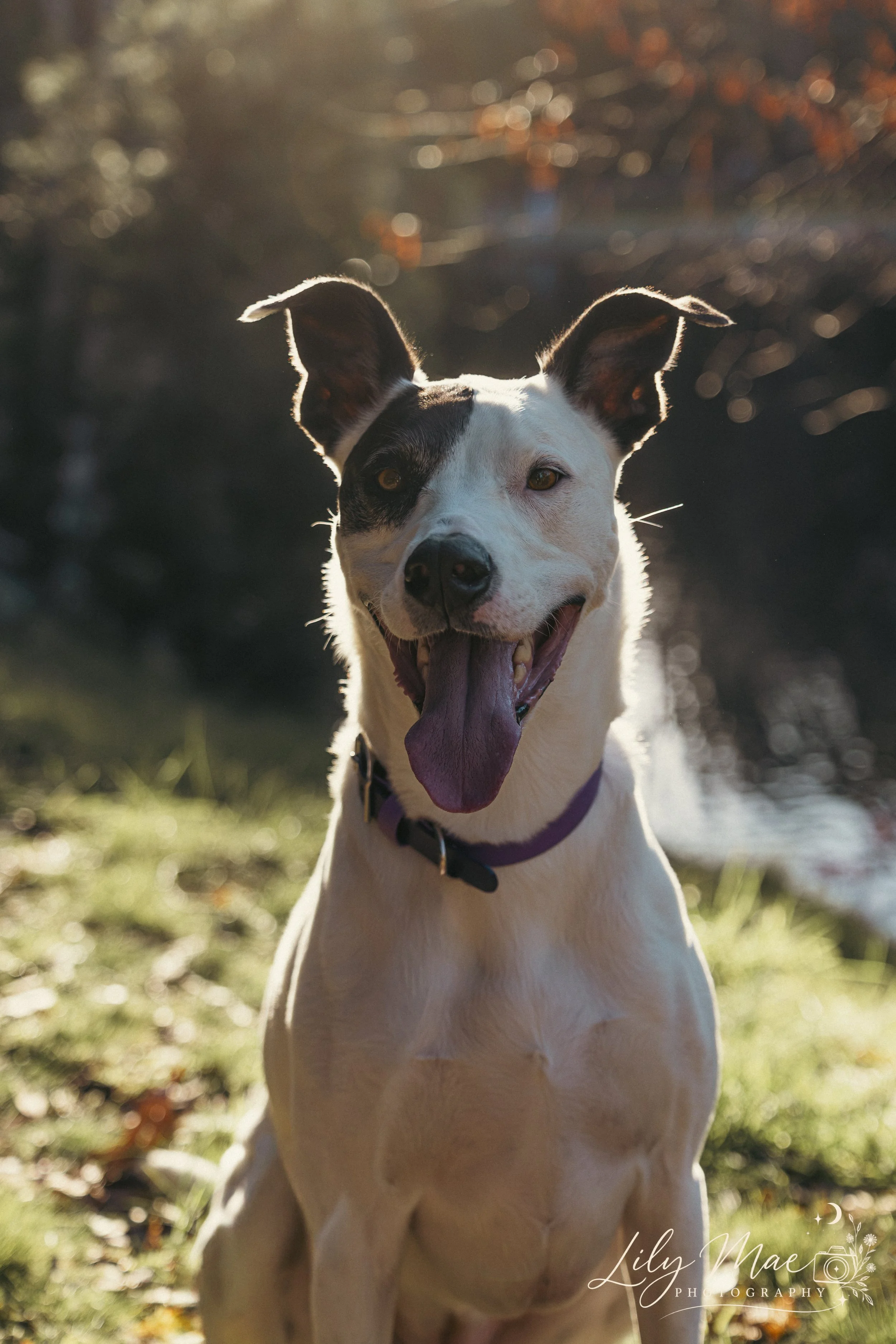 Floss-21.jpg