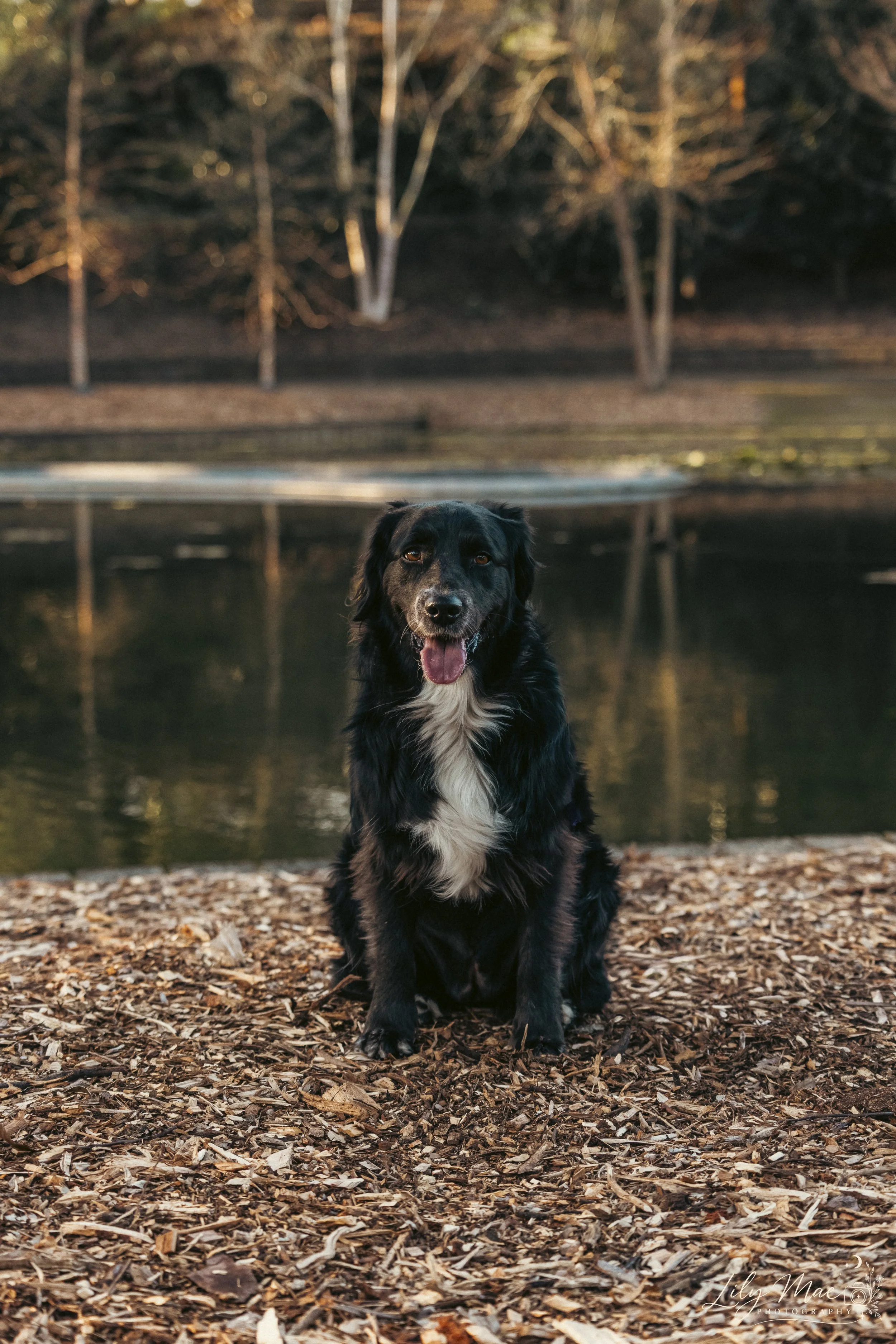 Vader-33.jpg