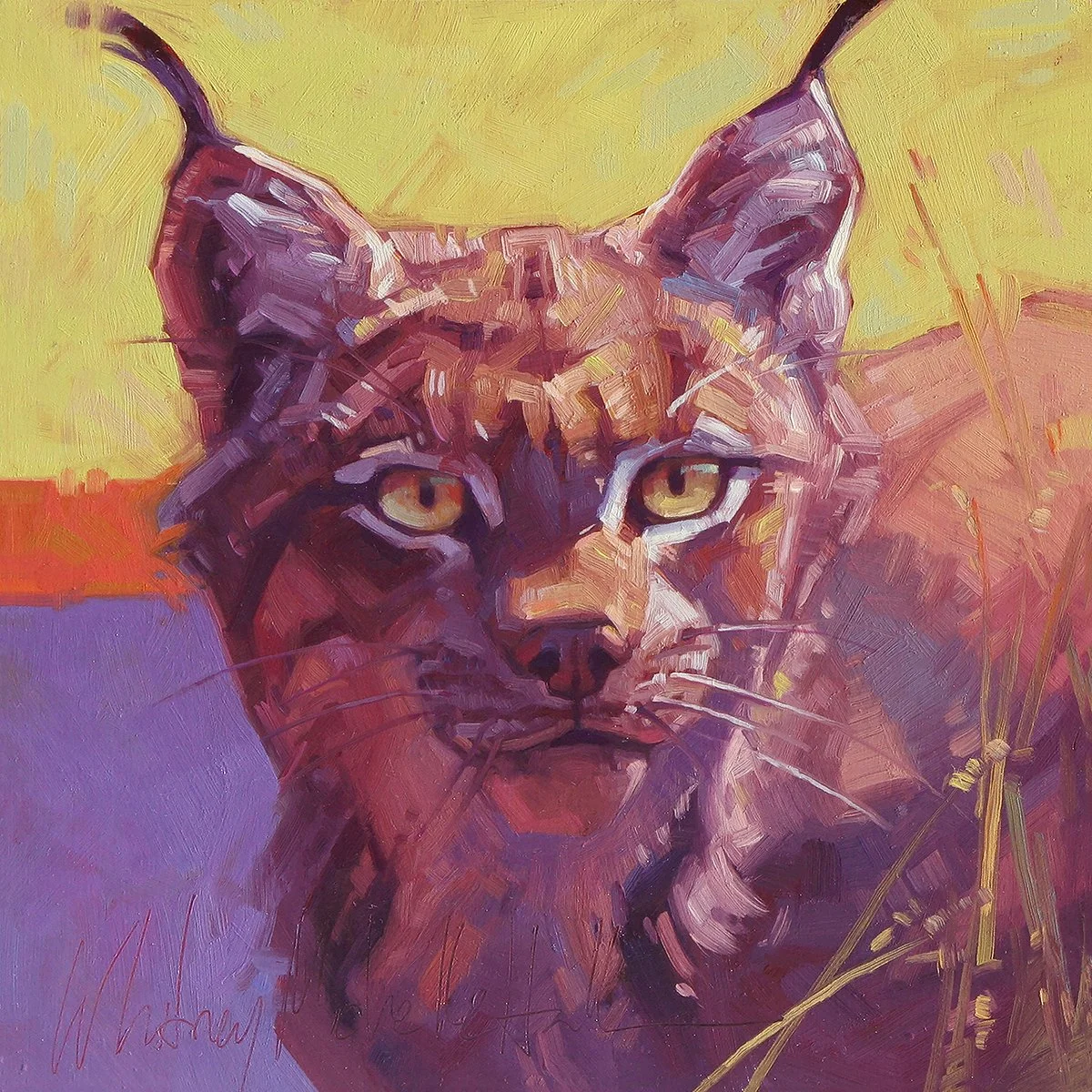 Sun on the Rocks 6” x 6” Tabletop Print