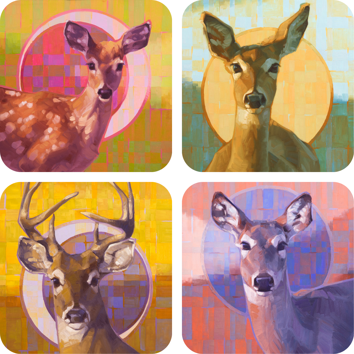 "Whitetail Suite" Coaster Singles & Set