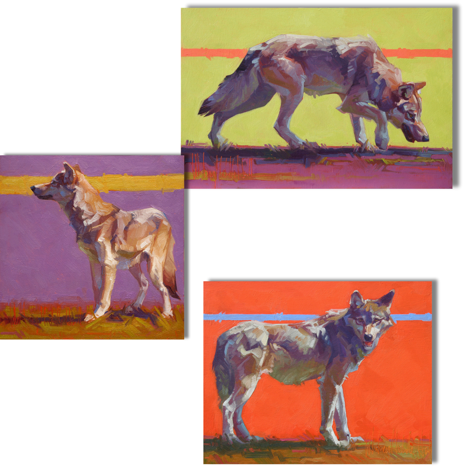 Wolf Pack Print Singles & Set