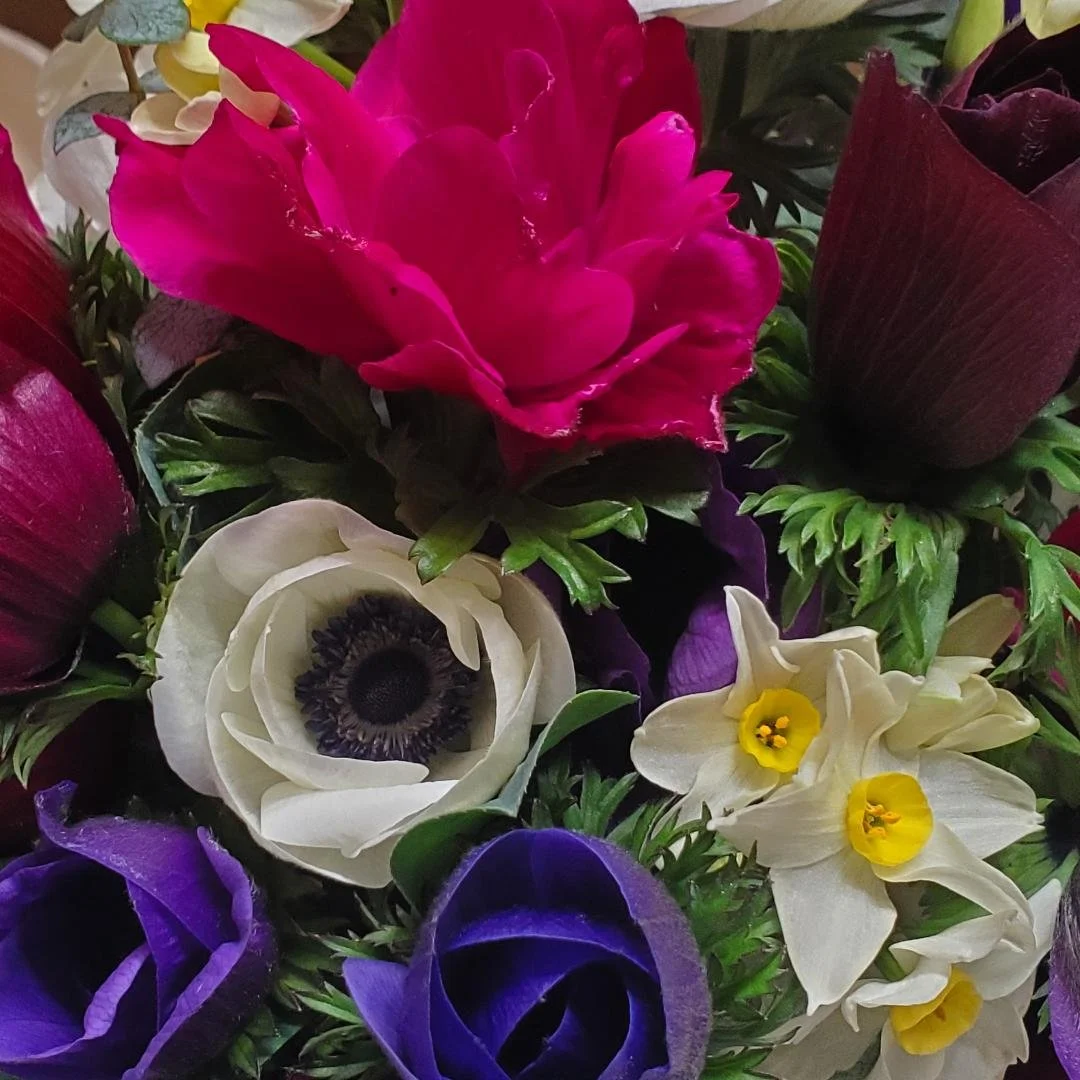 spring blooms 2025.jpg