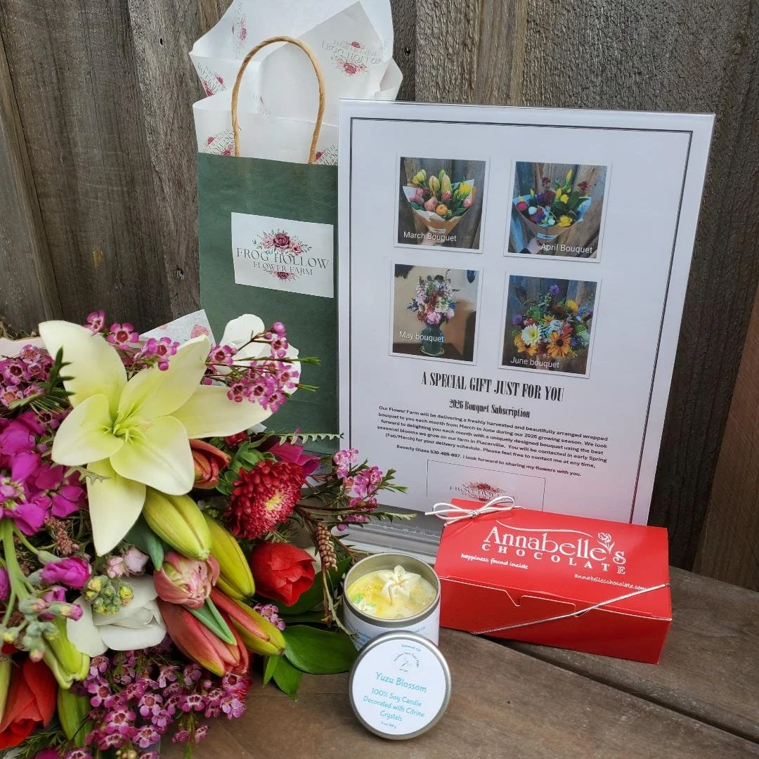 Valentine's Romance Collection