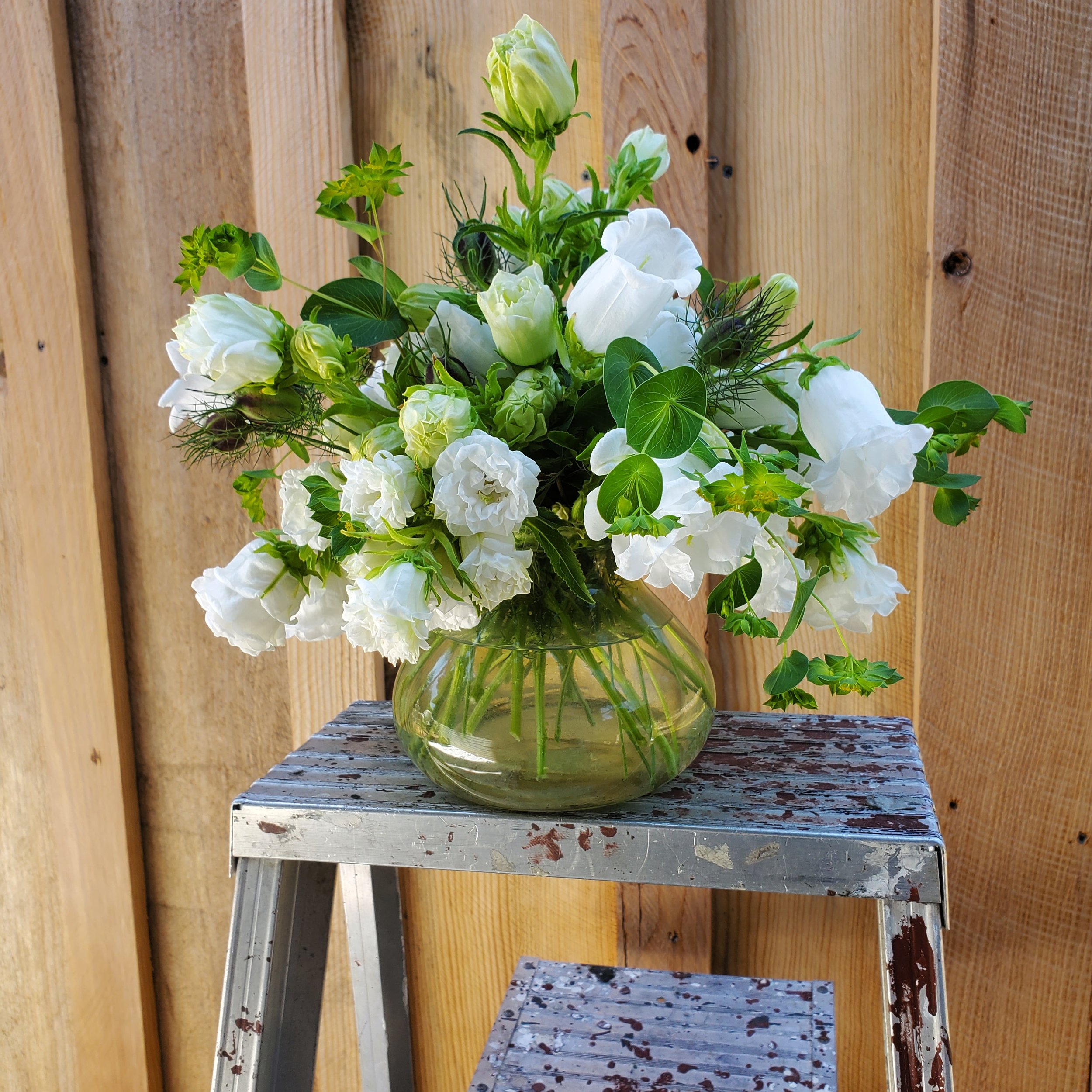 Our Story — Frog Hollow Flower Farm