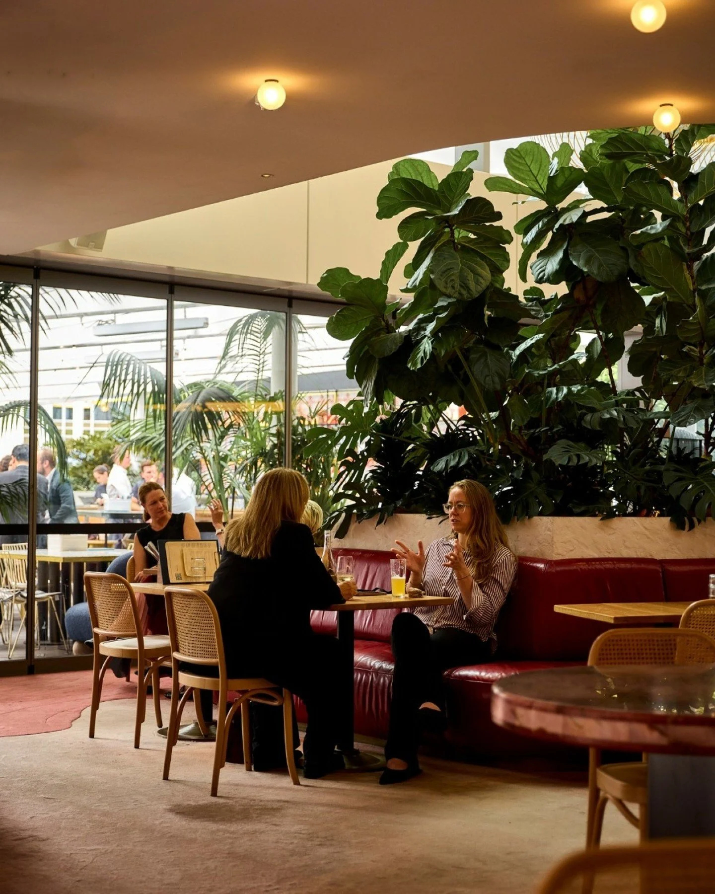 The dining room at its best. Good light, good company, nowhere to be.