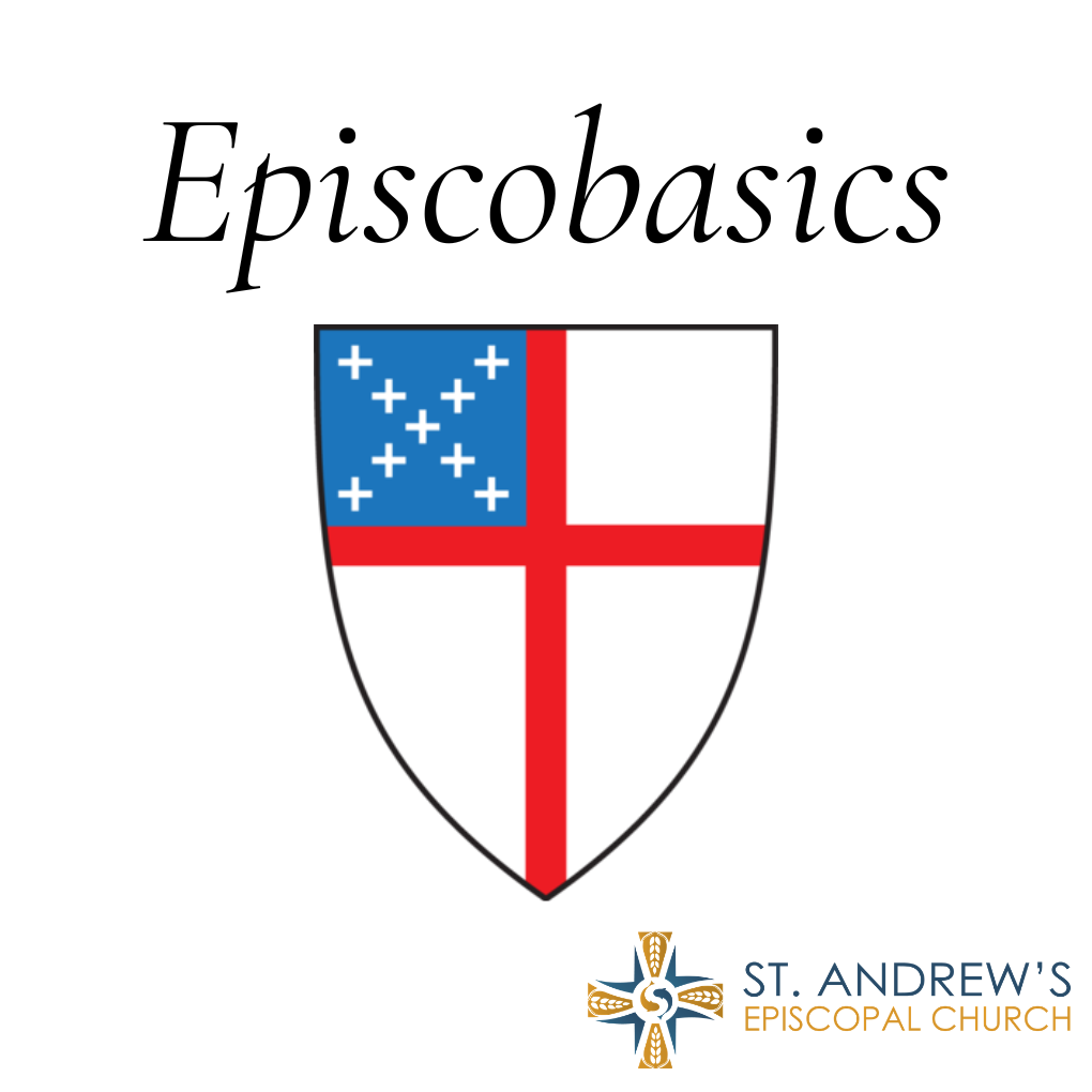 Adult Forum: Episcobasics