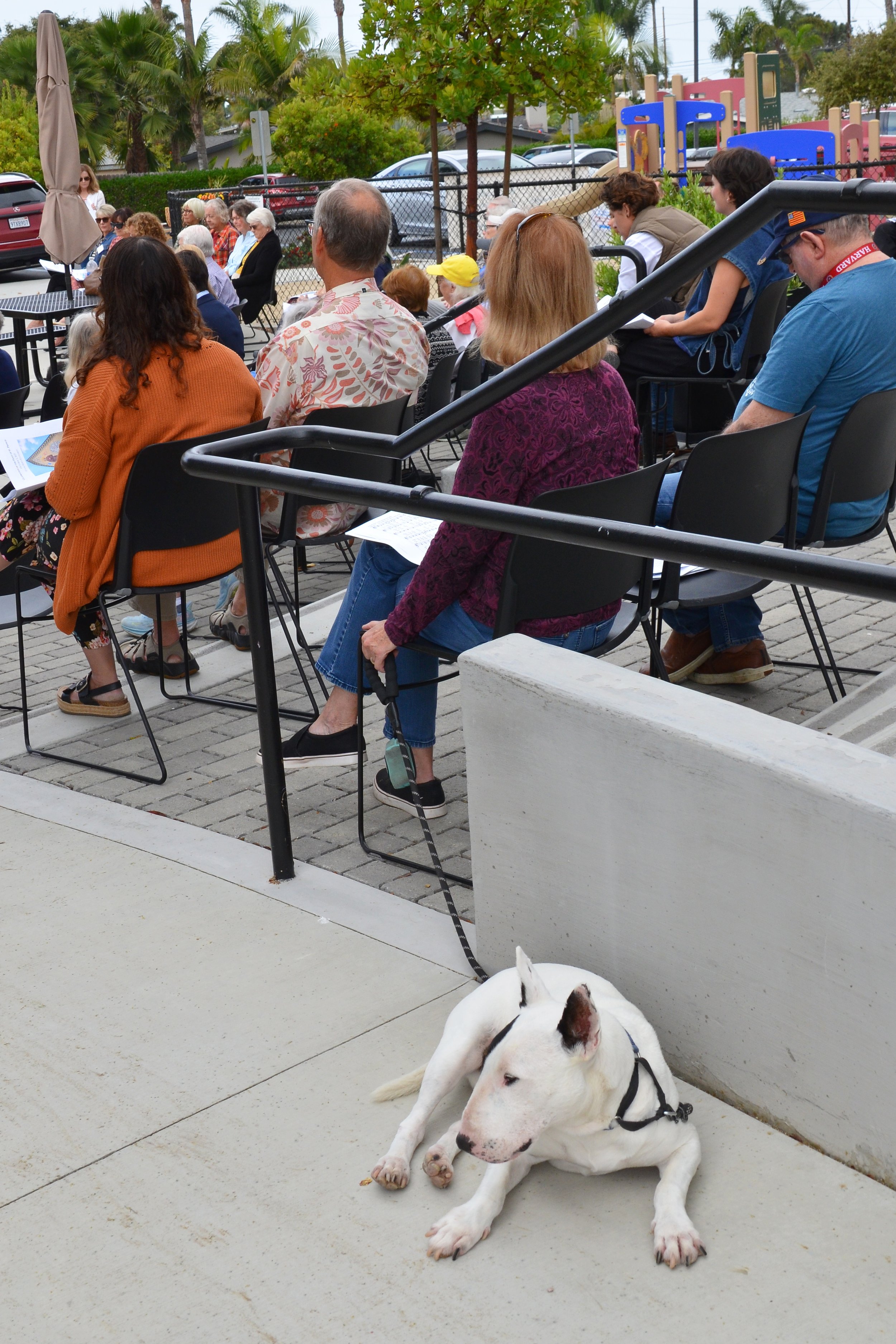 Feast of St. Francis &amp; Blessing of the Animals!