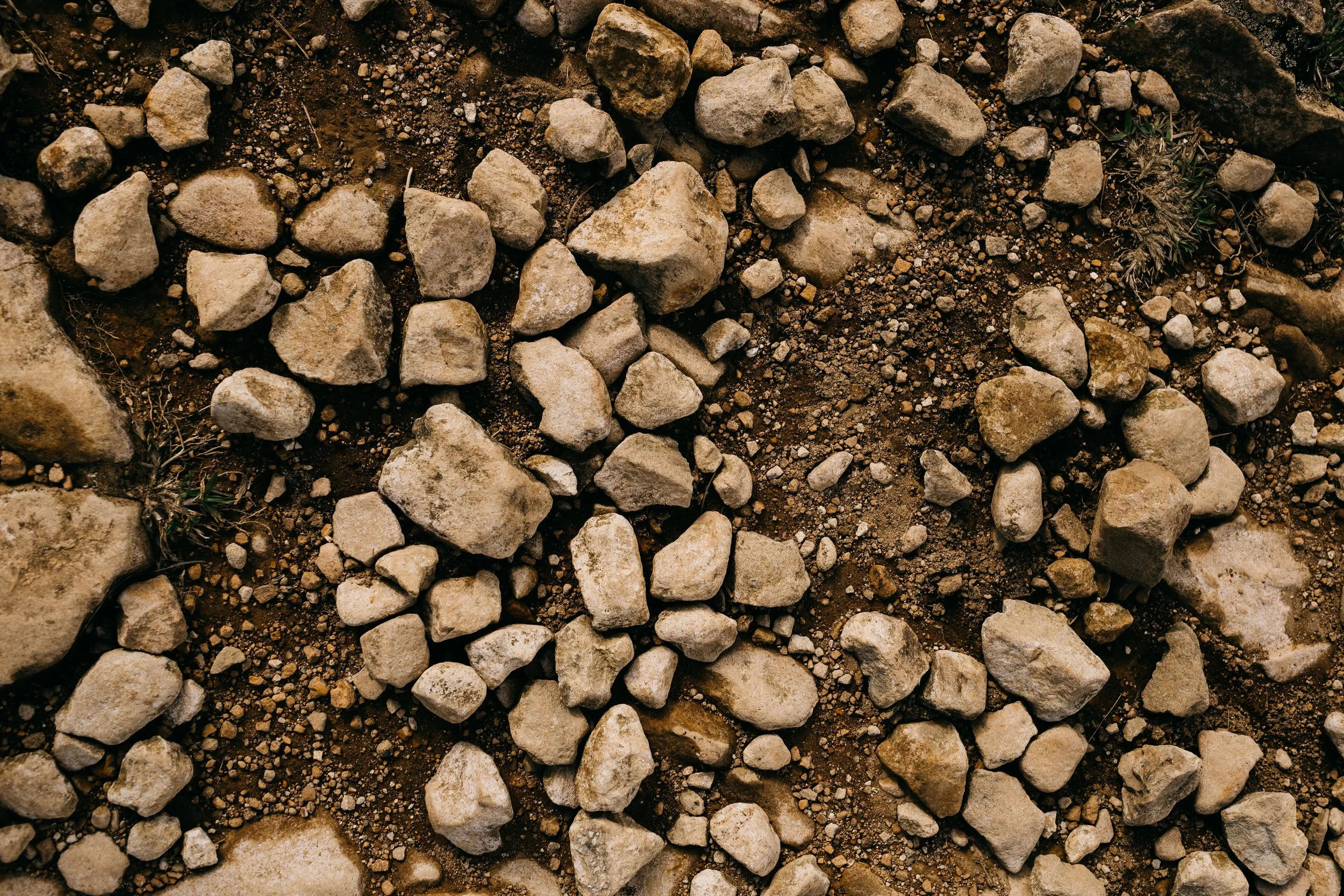 Holy Ground - The Rev. Martie Johnson