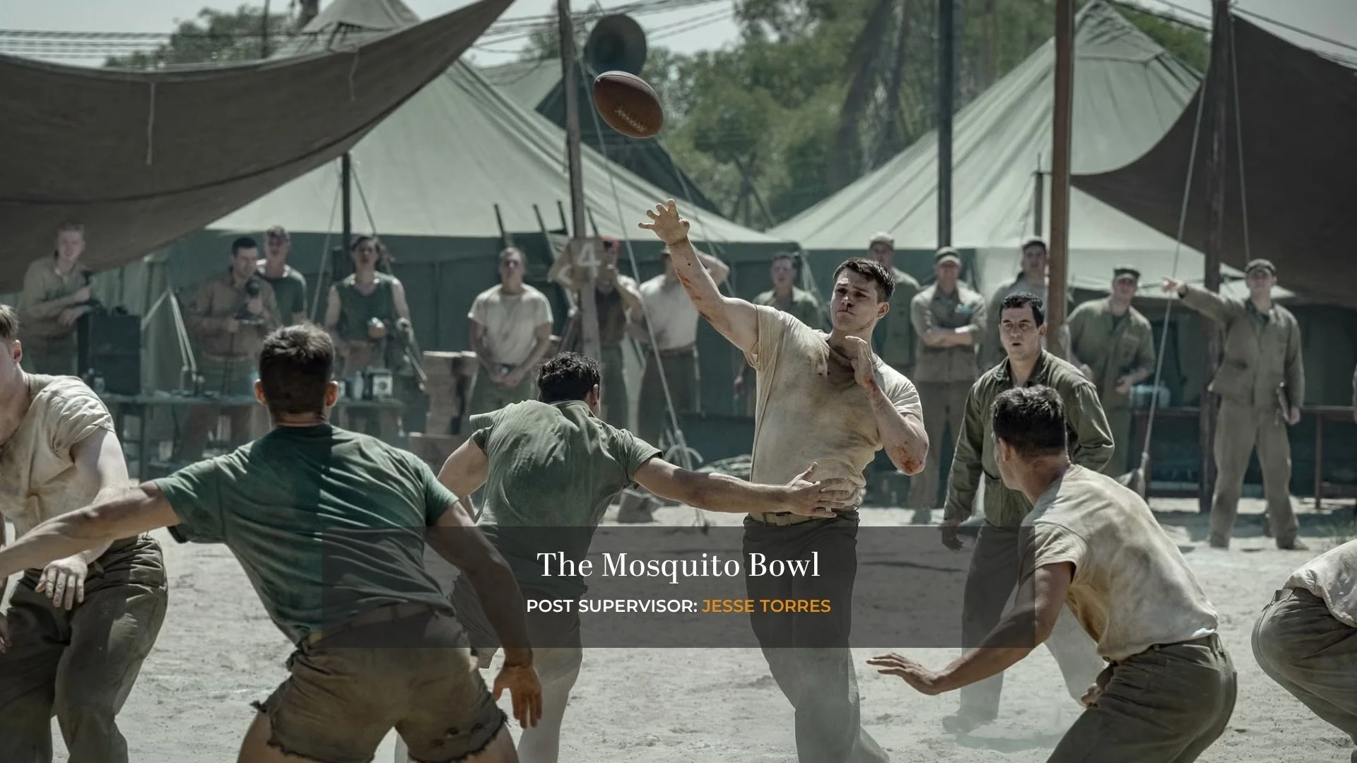 mosqbowl.jpg