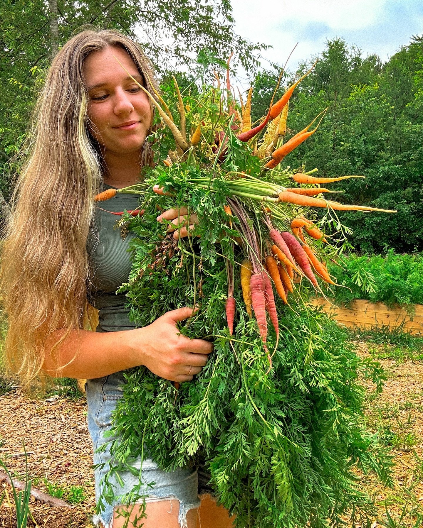 Thinning carrots: Round 02! 🥕

I sowed carrot seeds in this bed in February. I intentionally didn&rsquo;t thin them to experiment with seeing how thinning them later on would work&hellip;turns out I&rsquo;m doing it this way forever and always💁🏼&z