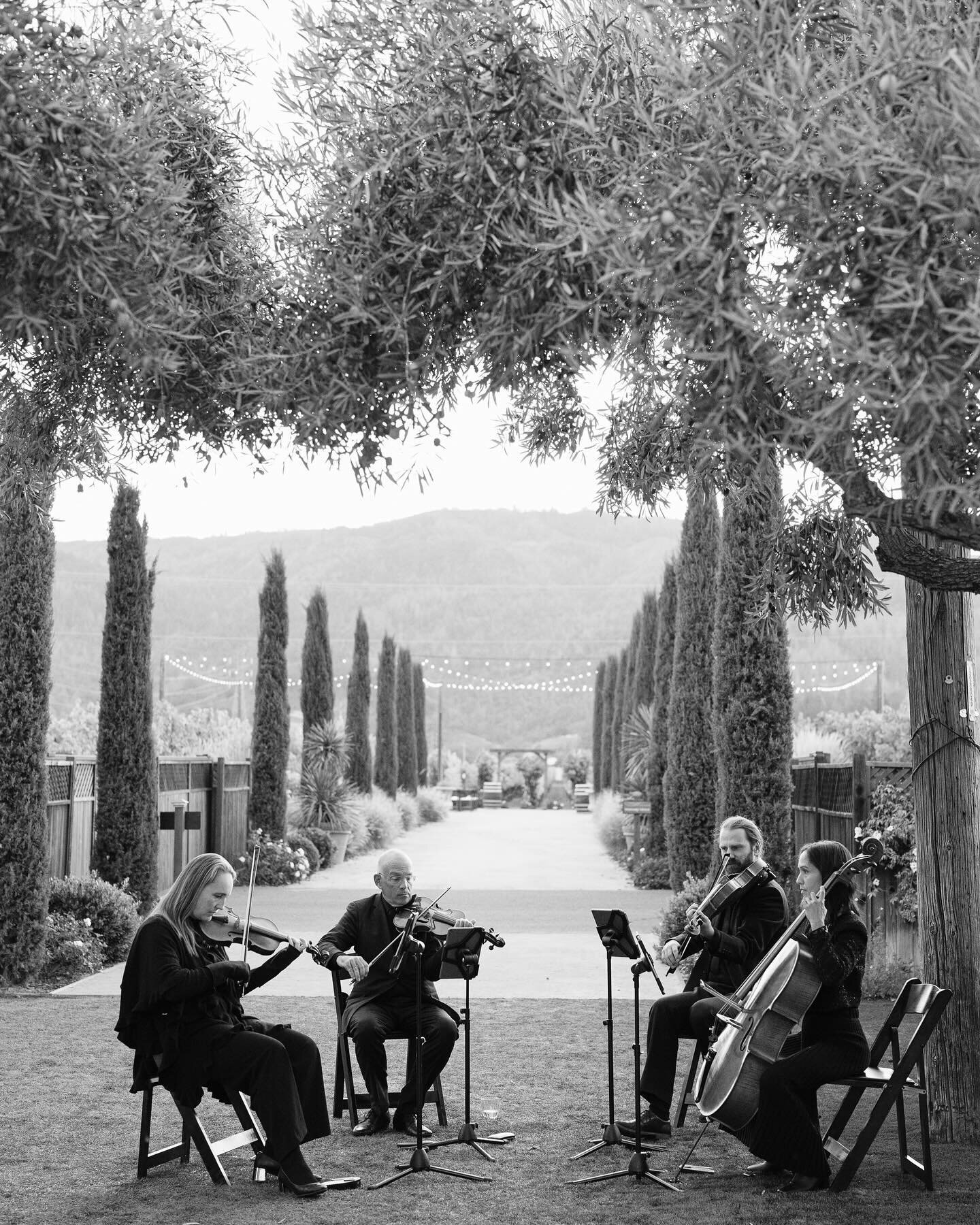 Reflecting on the snapshots of joy and the beautiful tapestry of memories woven in 2022. 💗 Photo credit @caitlinoreillyphotography 
.
.
.
#violin #viola #cello #bellarosasq #napavalley #napavalleywedding #music #ceremonymusic #newyearsreflections